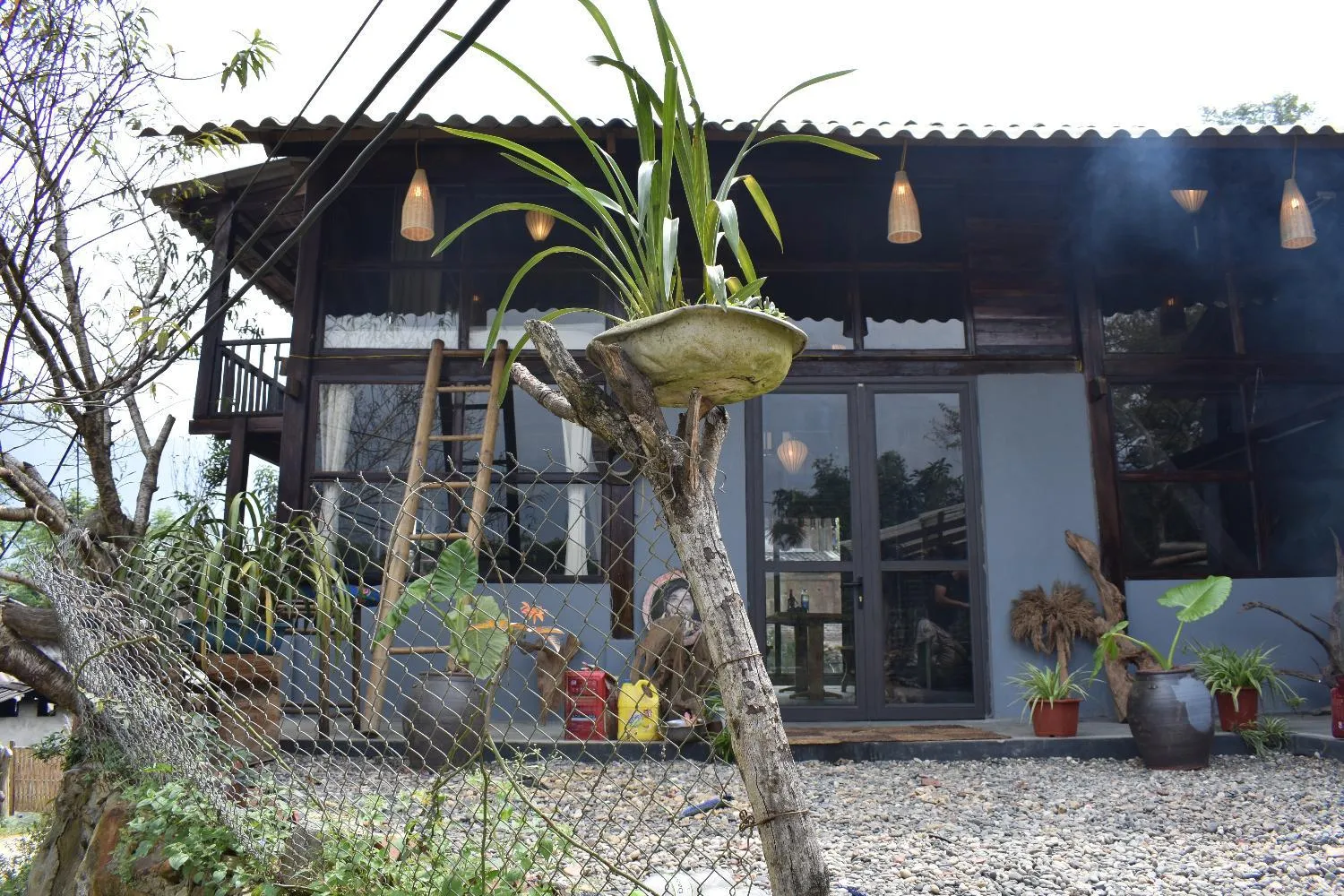 Luckydaisy Buffalo House