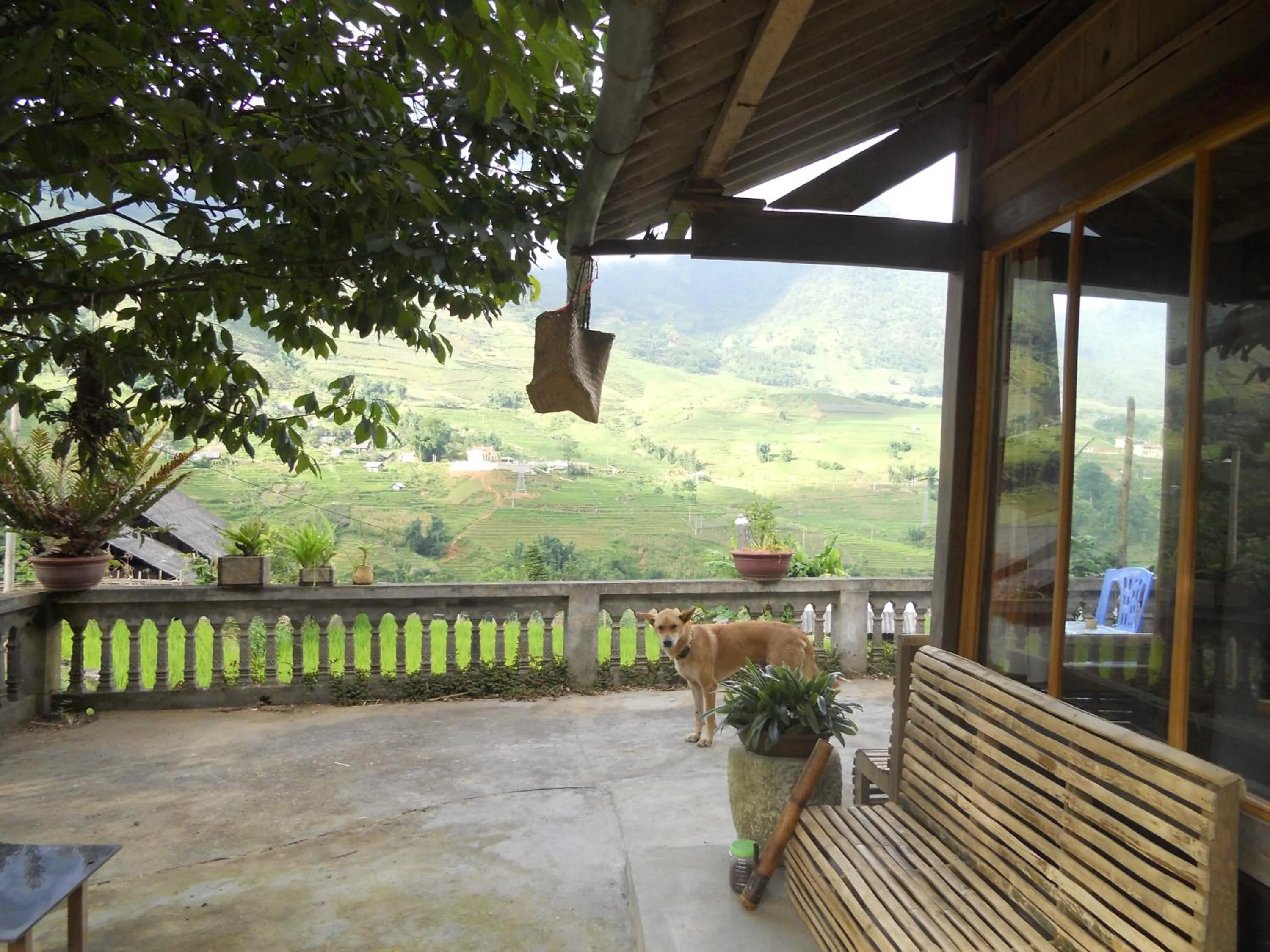 Property building in Luckydaisy Buffalo House