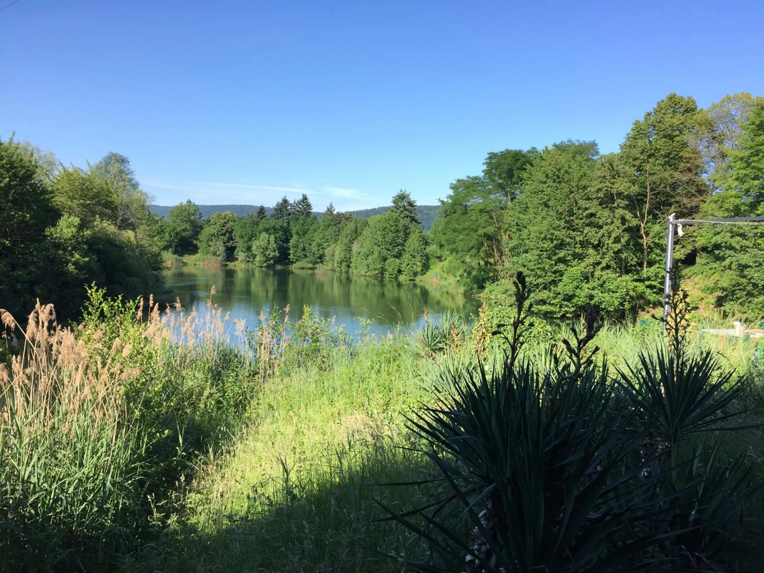 Lake view in Guesthouse Lichtenau