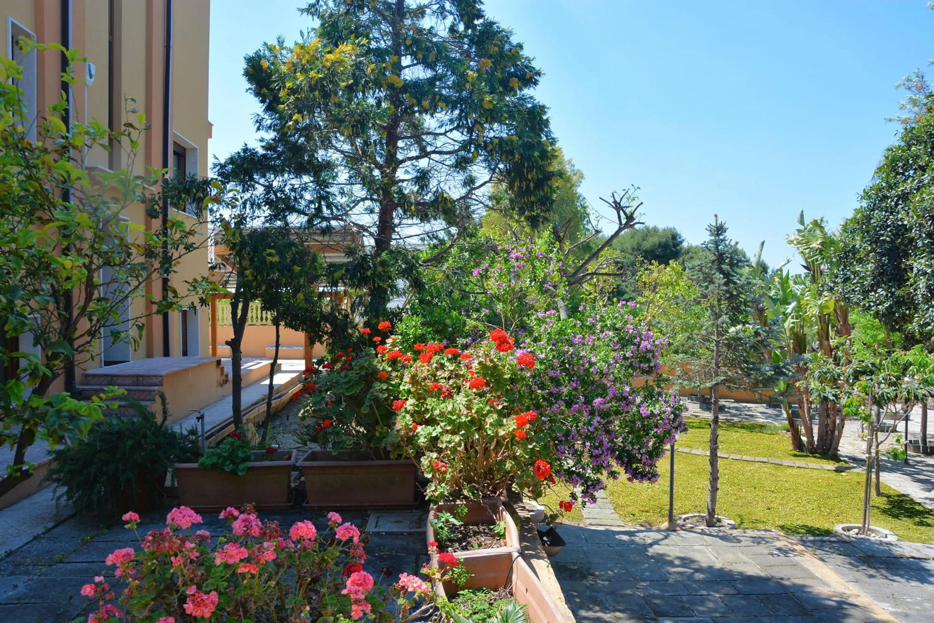 Garden in B&B Il Canto Del Mare