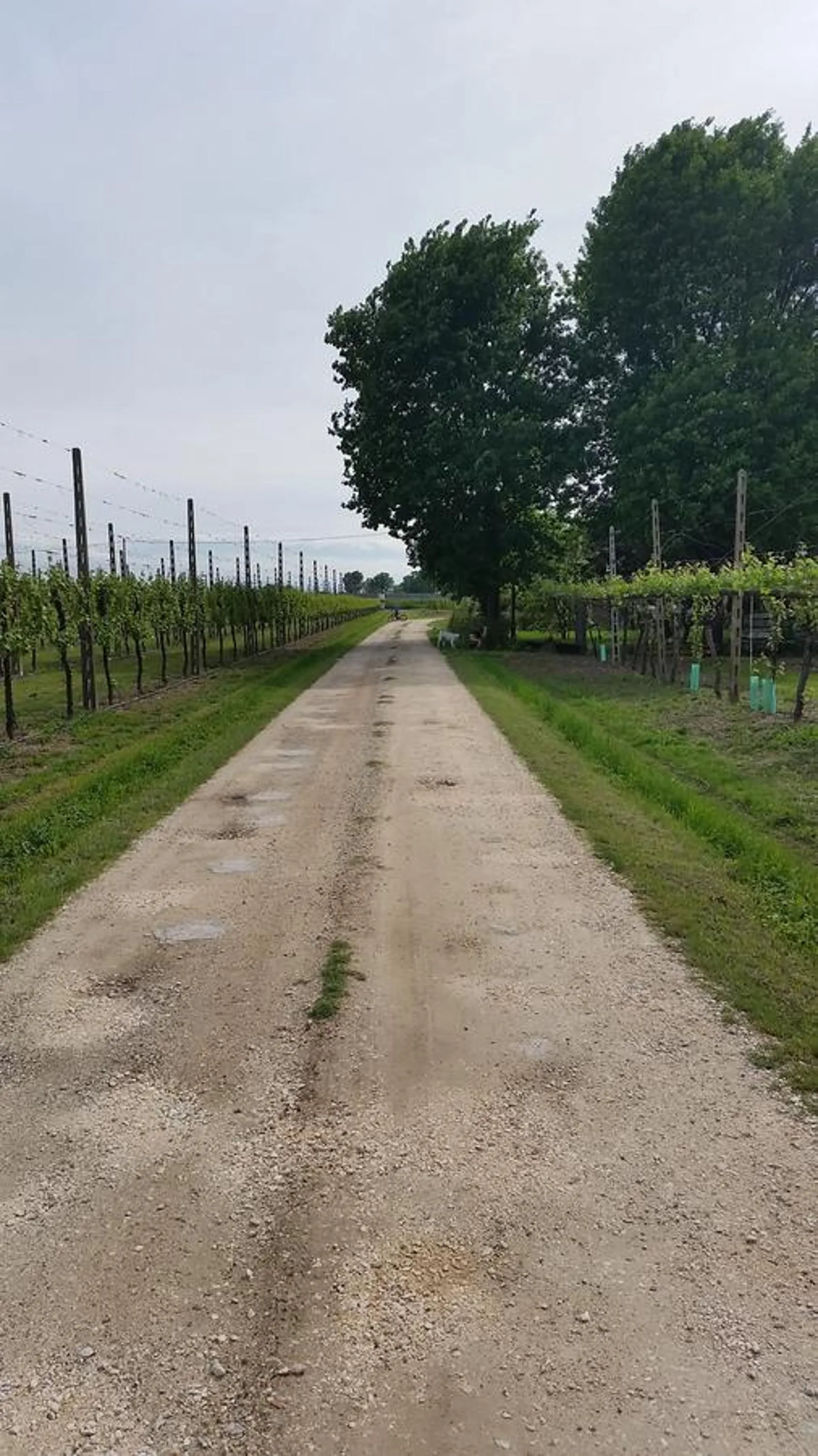 Street view in B&B La Palazza