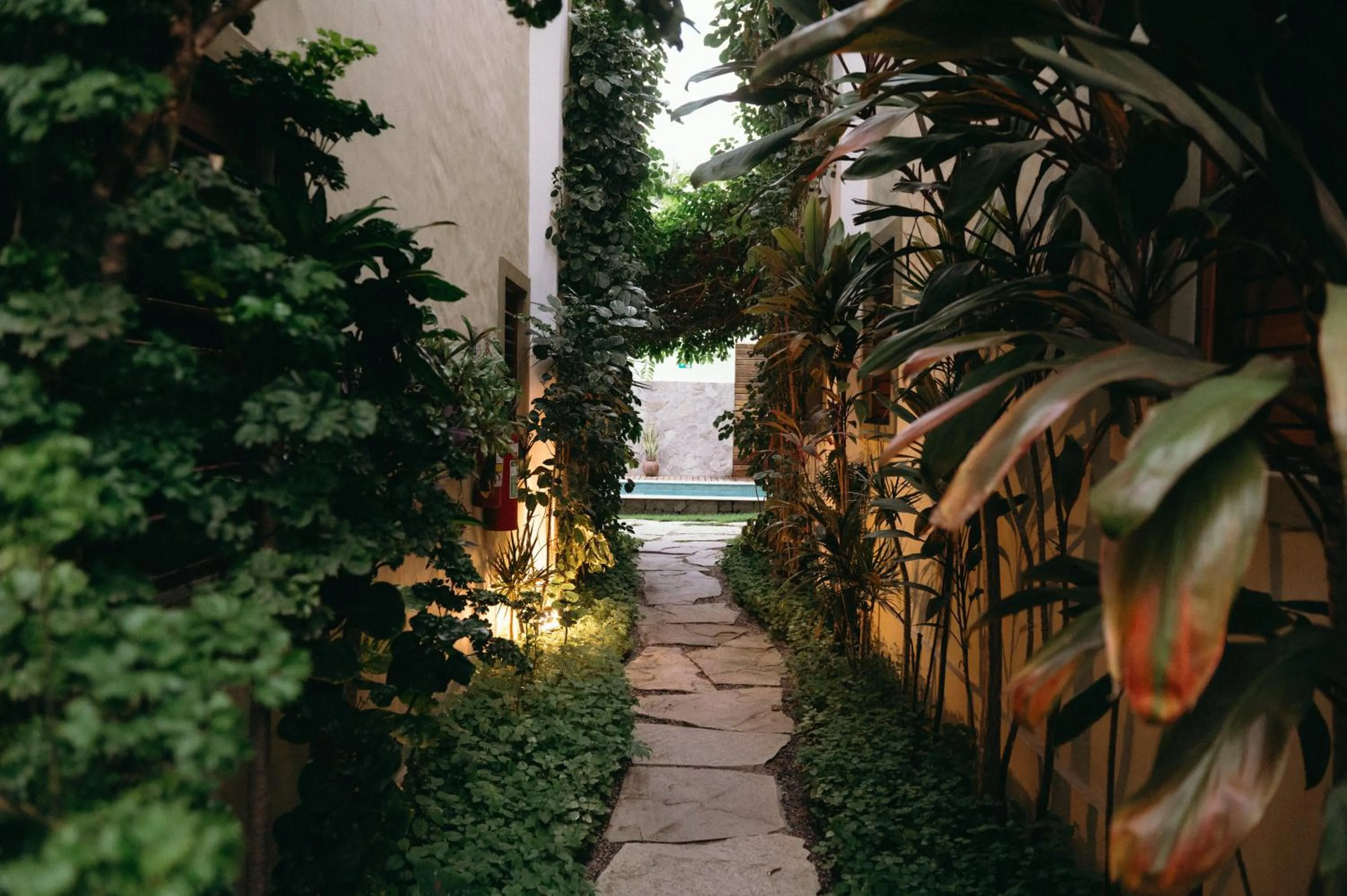 Garden in Flor da Mata