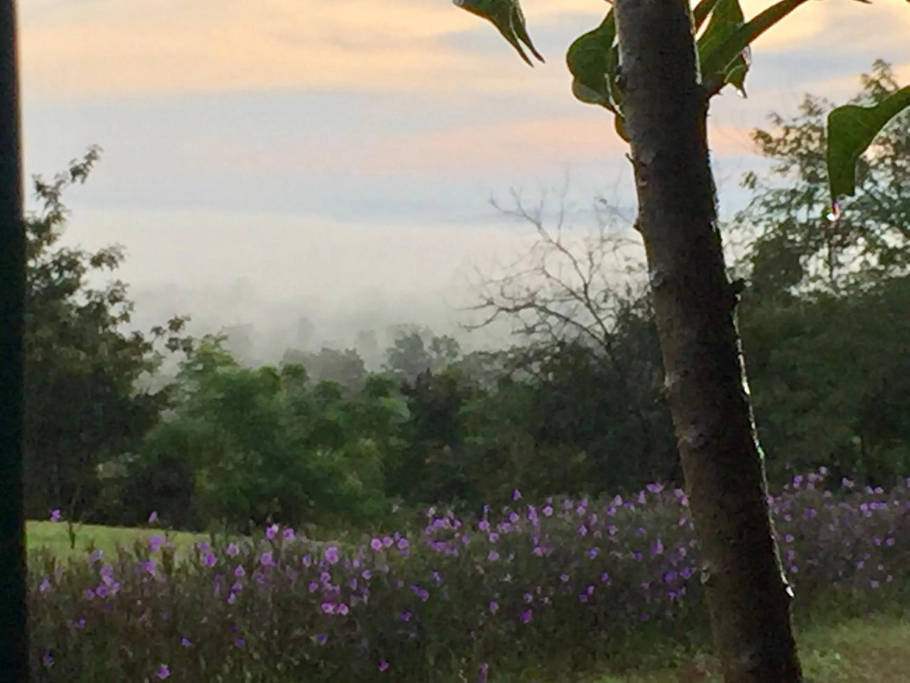 Khaoyai Nature Retreat