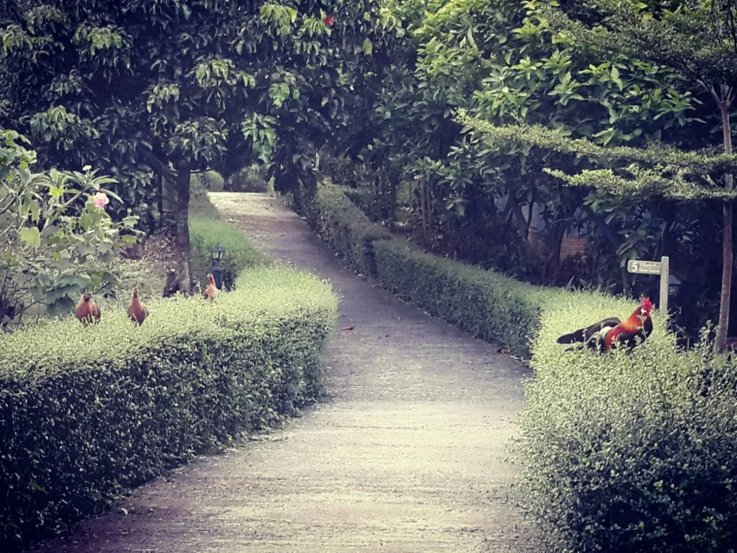 Khaoyai Nature Retreat