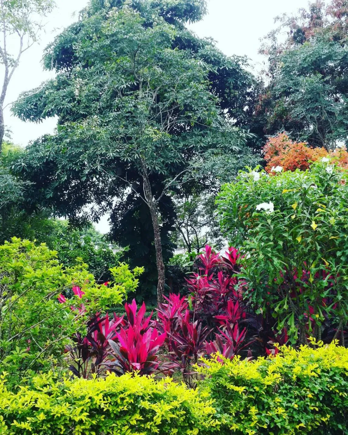 Khaoyai Nature Retreat