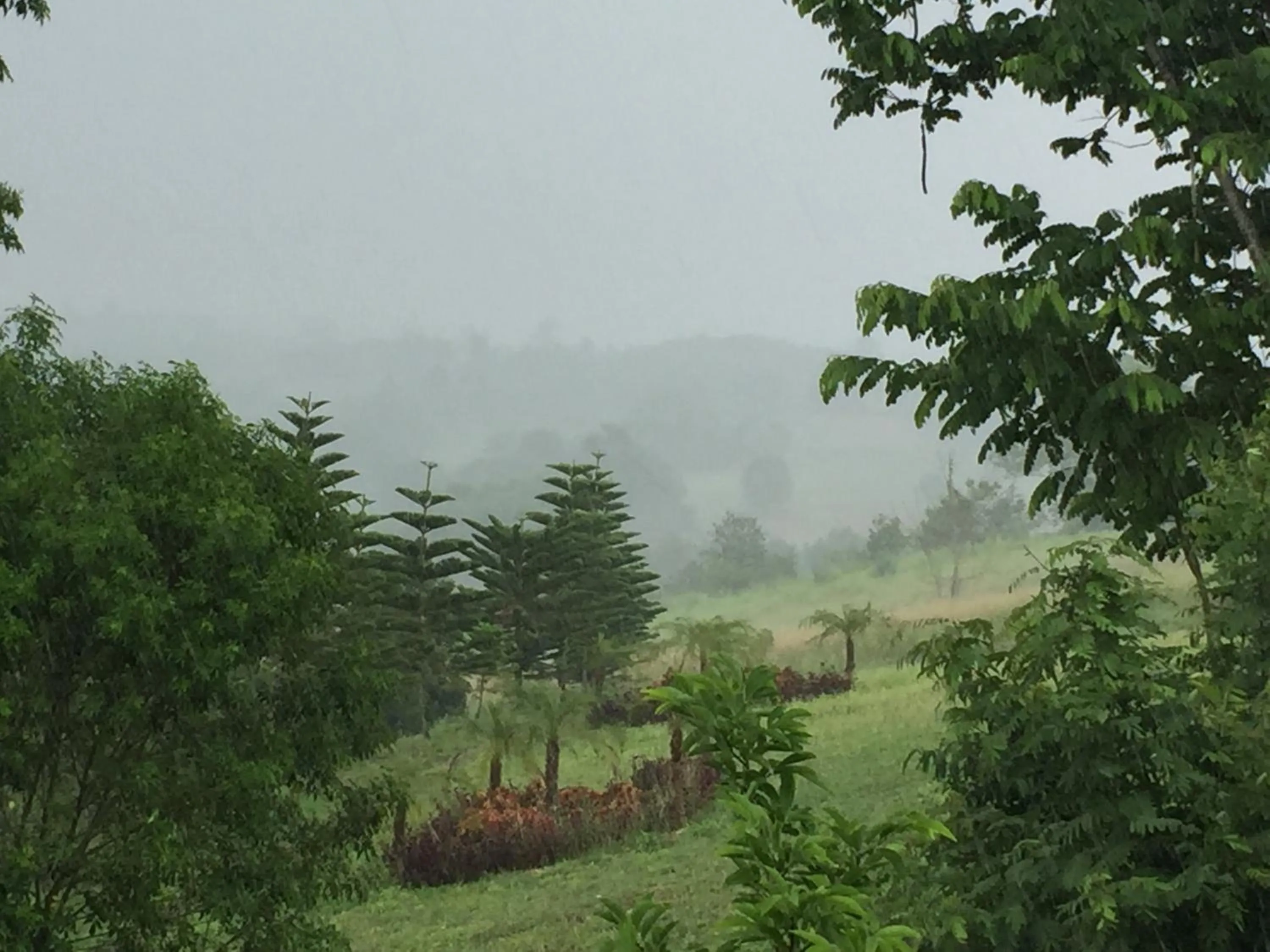 Khaoyai Nature Retreat