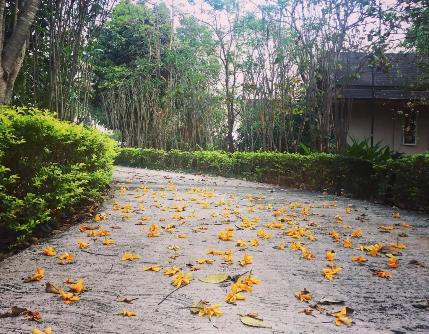 Khaoyai Nature Retreat