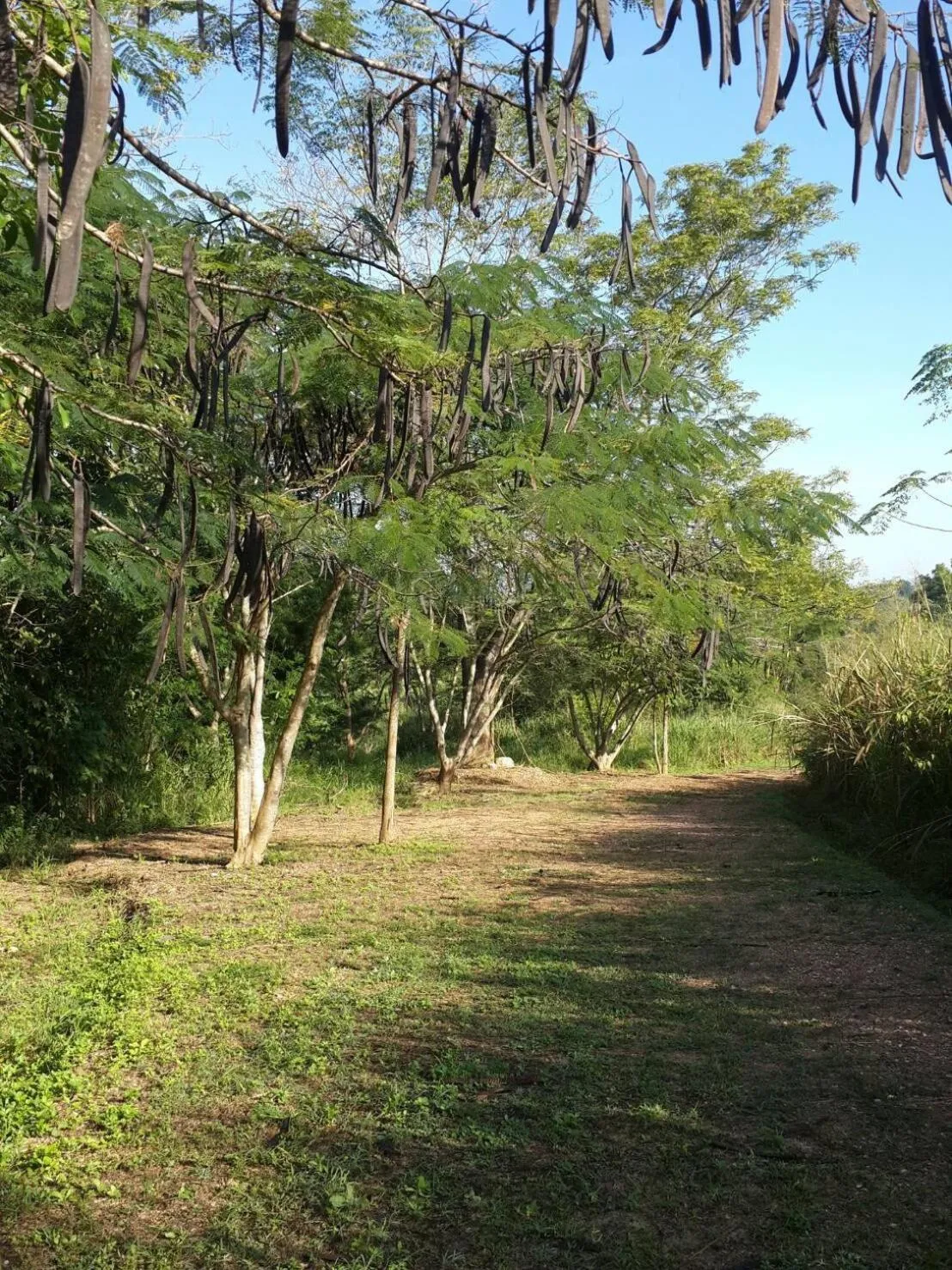 Khaoyai Nature Retreat