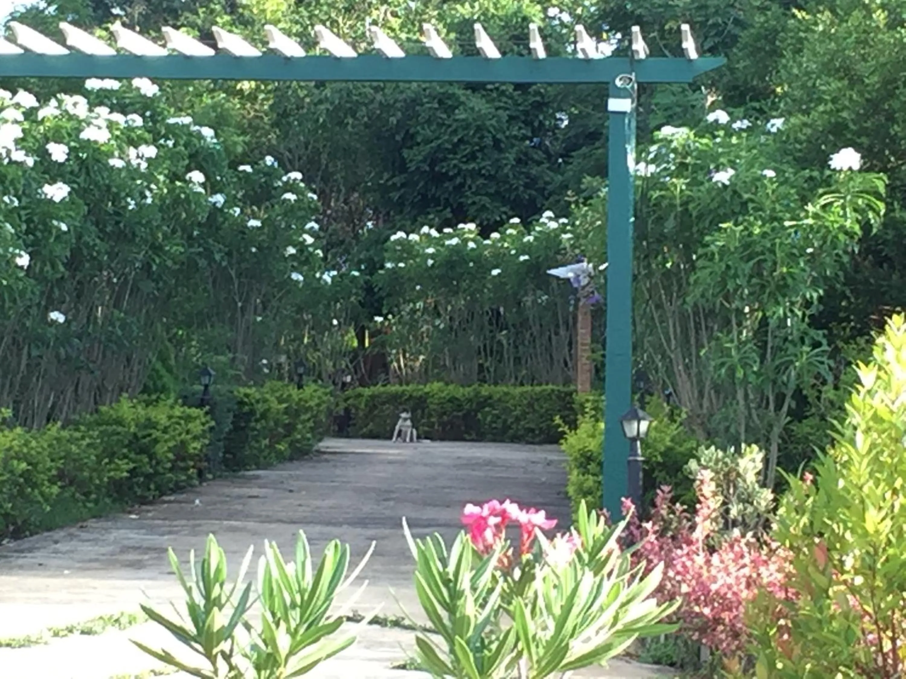 Khaoyai Nature Retreat