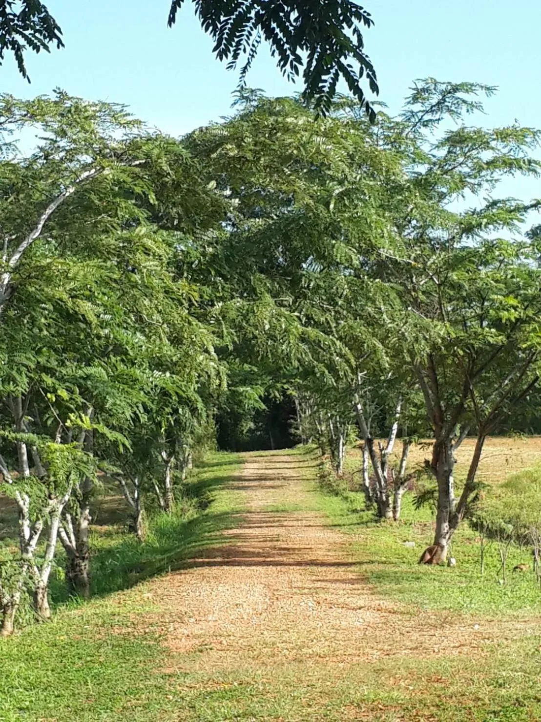 Khaoyai Nature Retreat