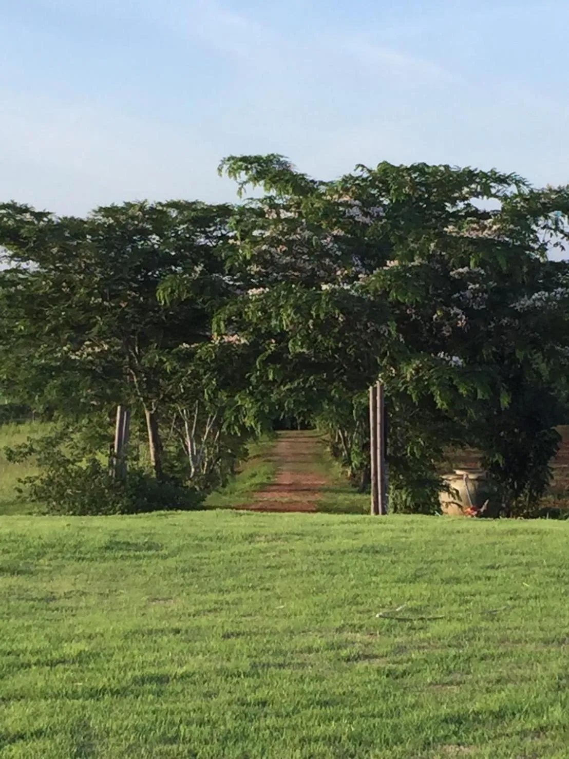 Khaoyai Nature Retreat