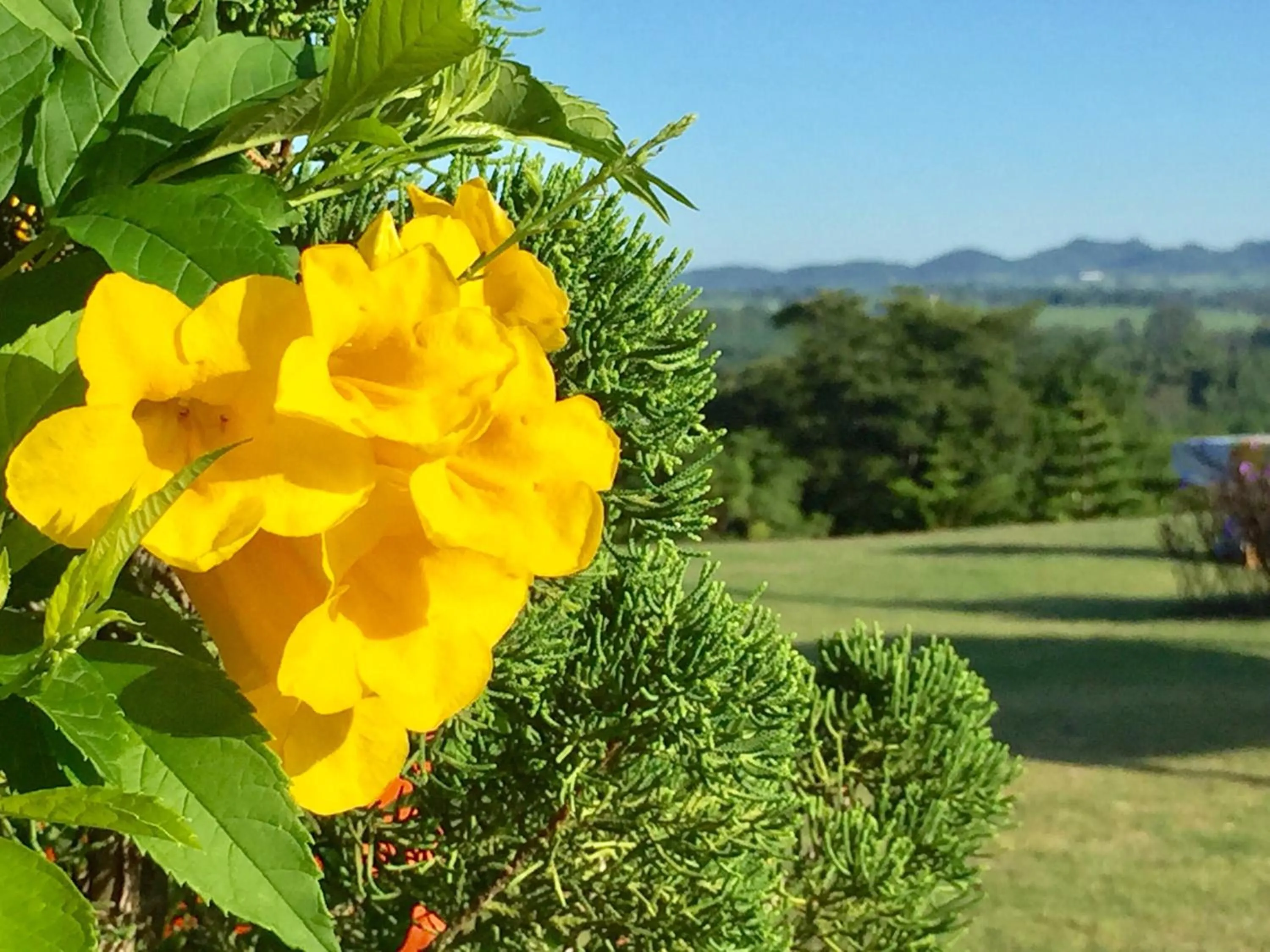 Khaoyai Nature Retreat