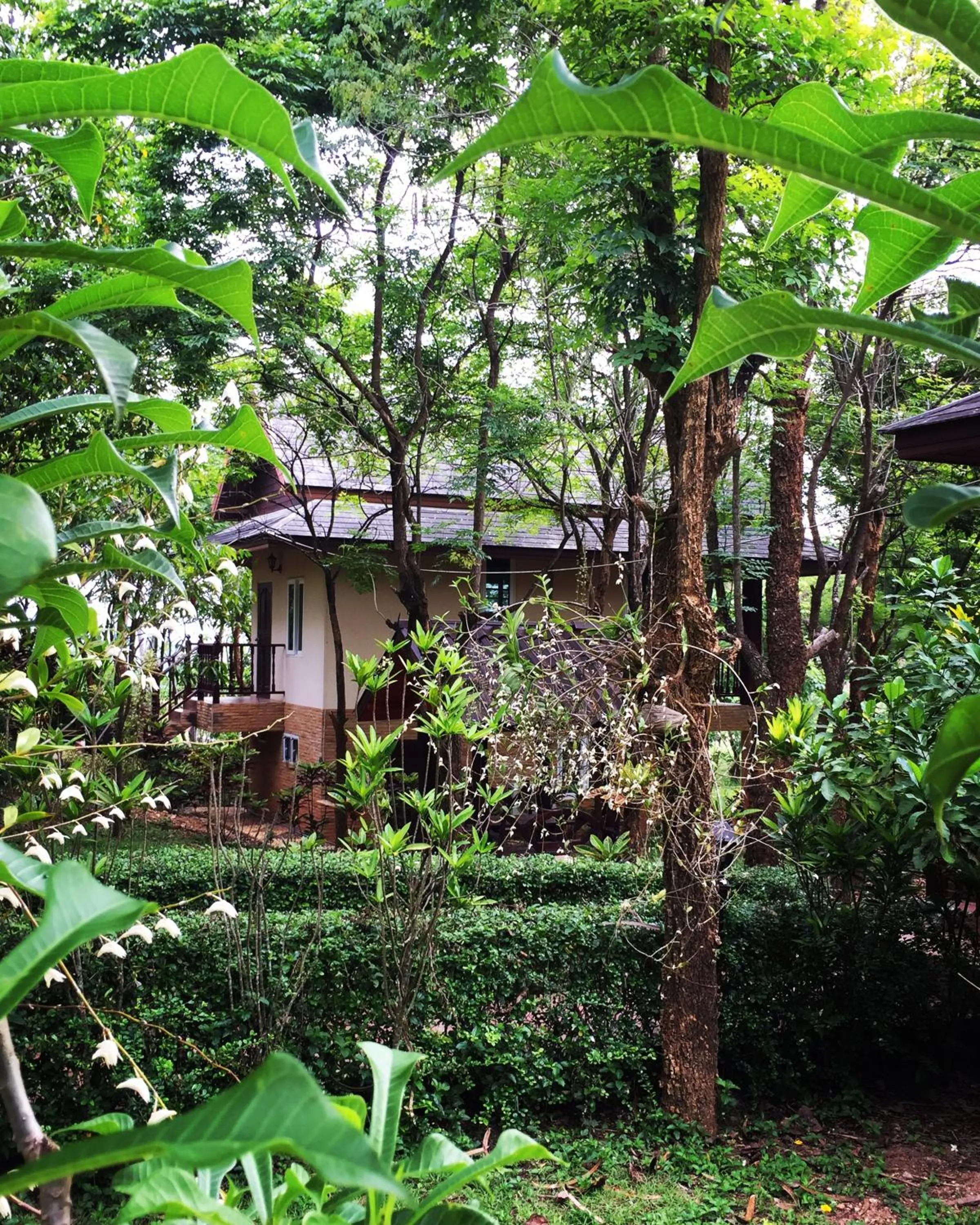 Khaoyai Nature Retreat