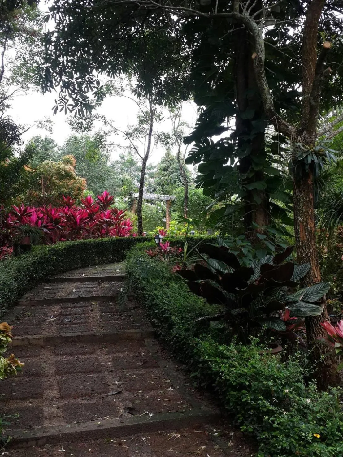 Khaoyai Nature Retreat