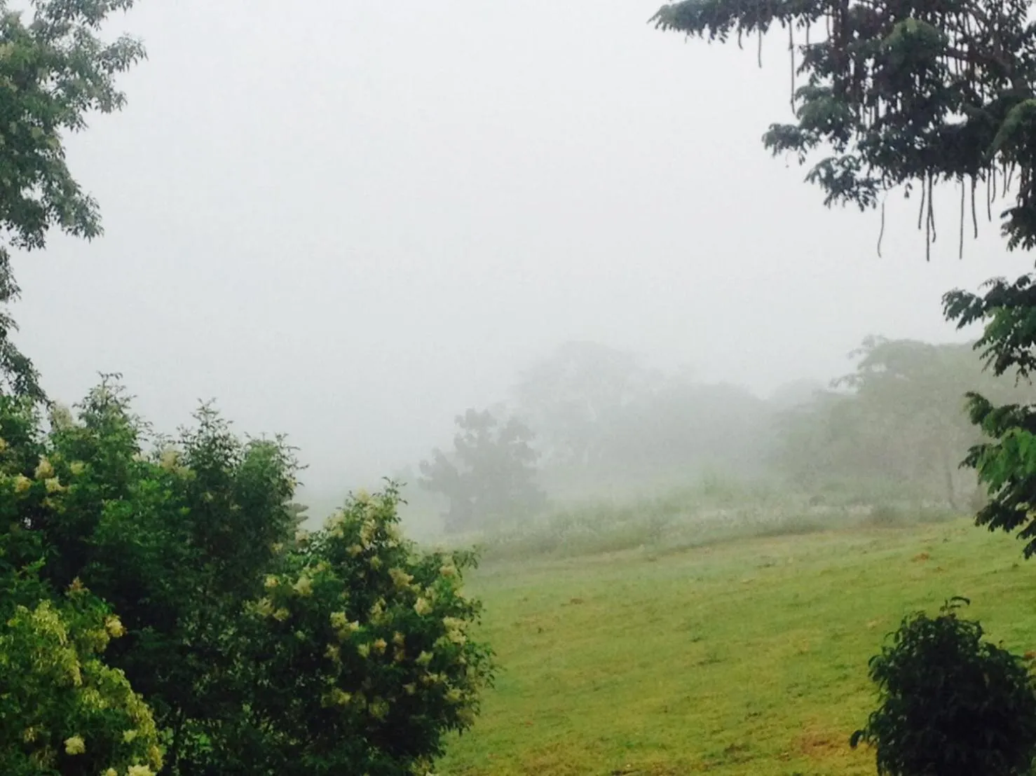 Garden in Khaoyai Nature Retreat