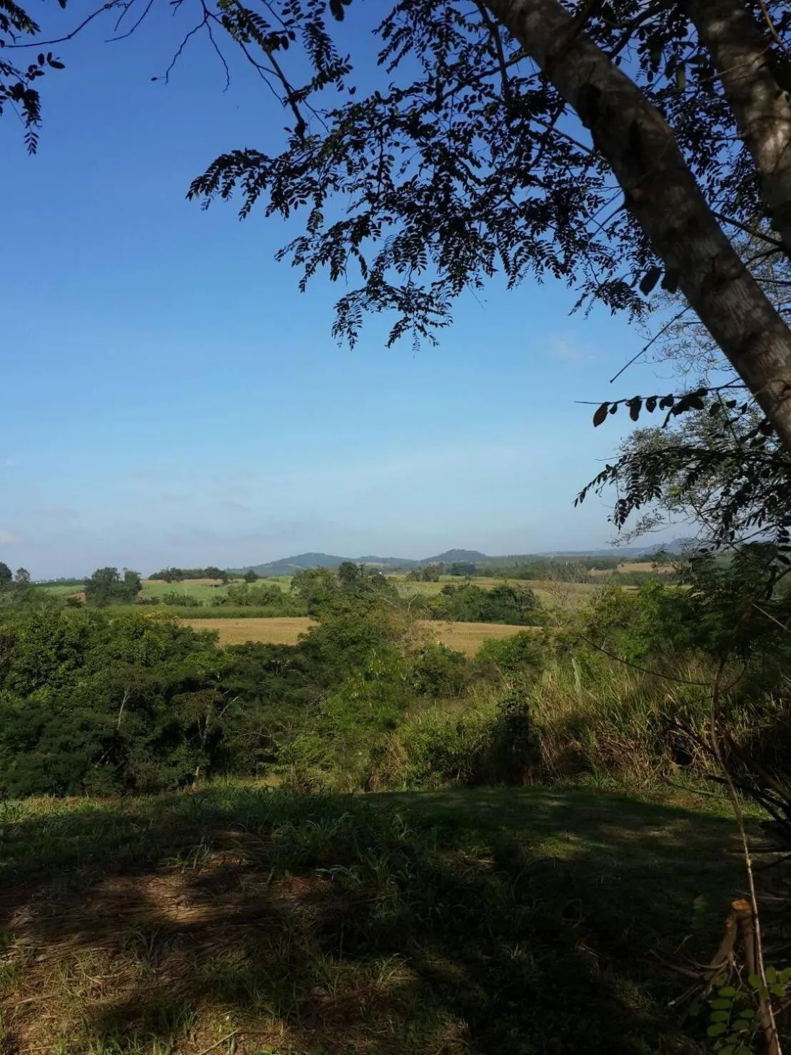Khaoyai Nature Retreat