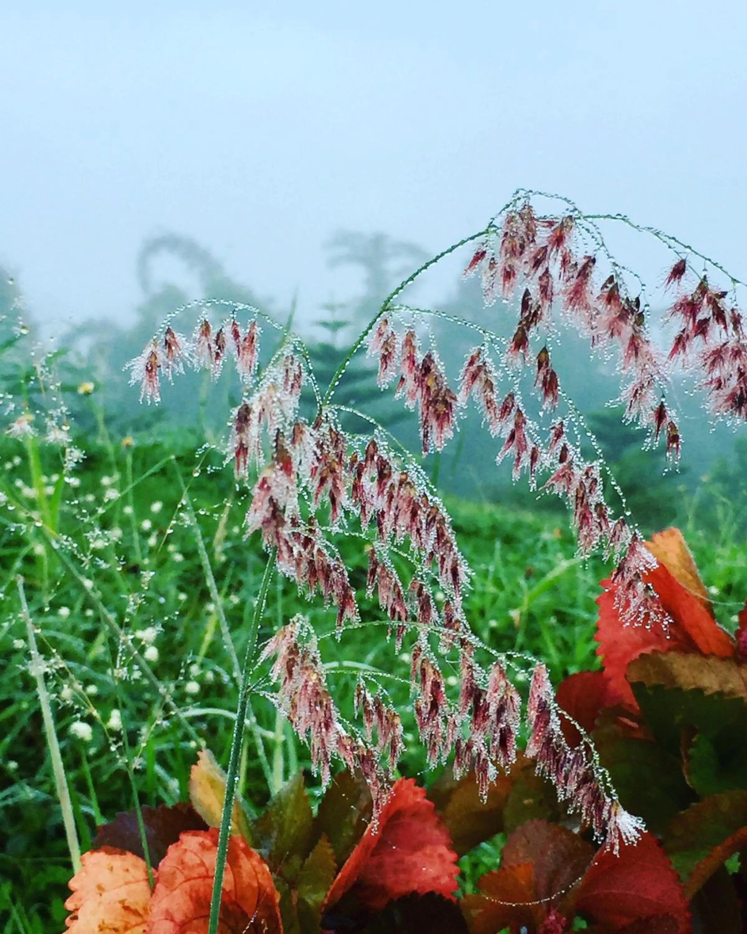 Khaoyai Nature Retreat