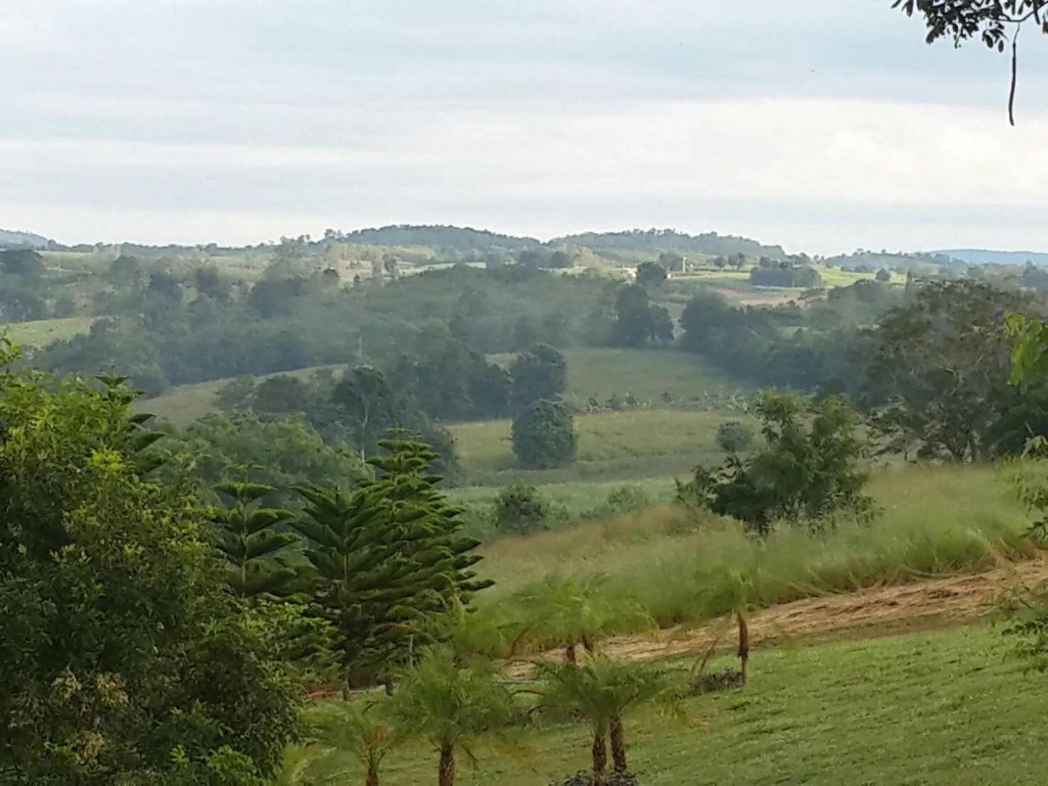 View (from property/room) in Khaoyai Nature Retreat