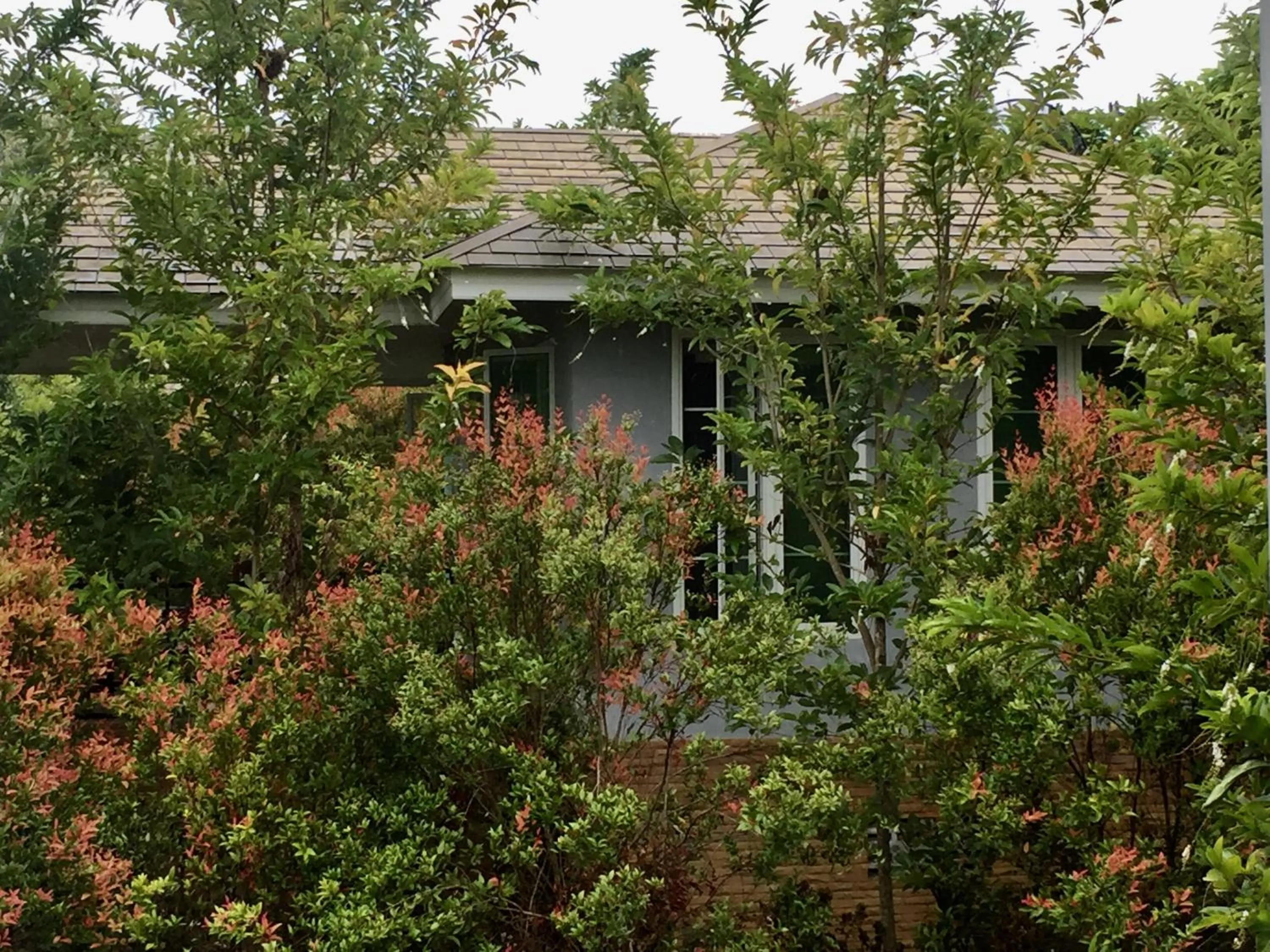 Khaoyai Nature Retreat