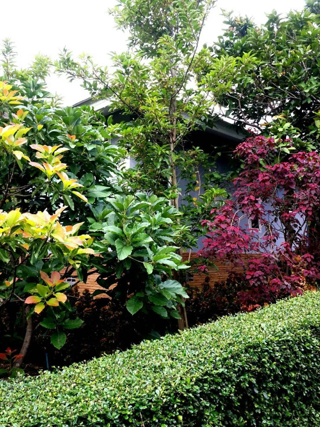 Khaoyai Nature Retreat