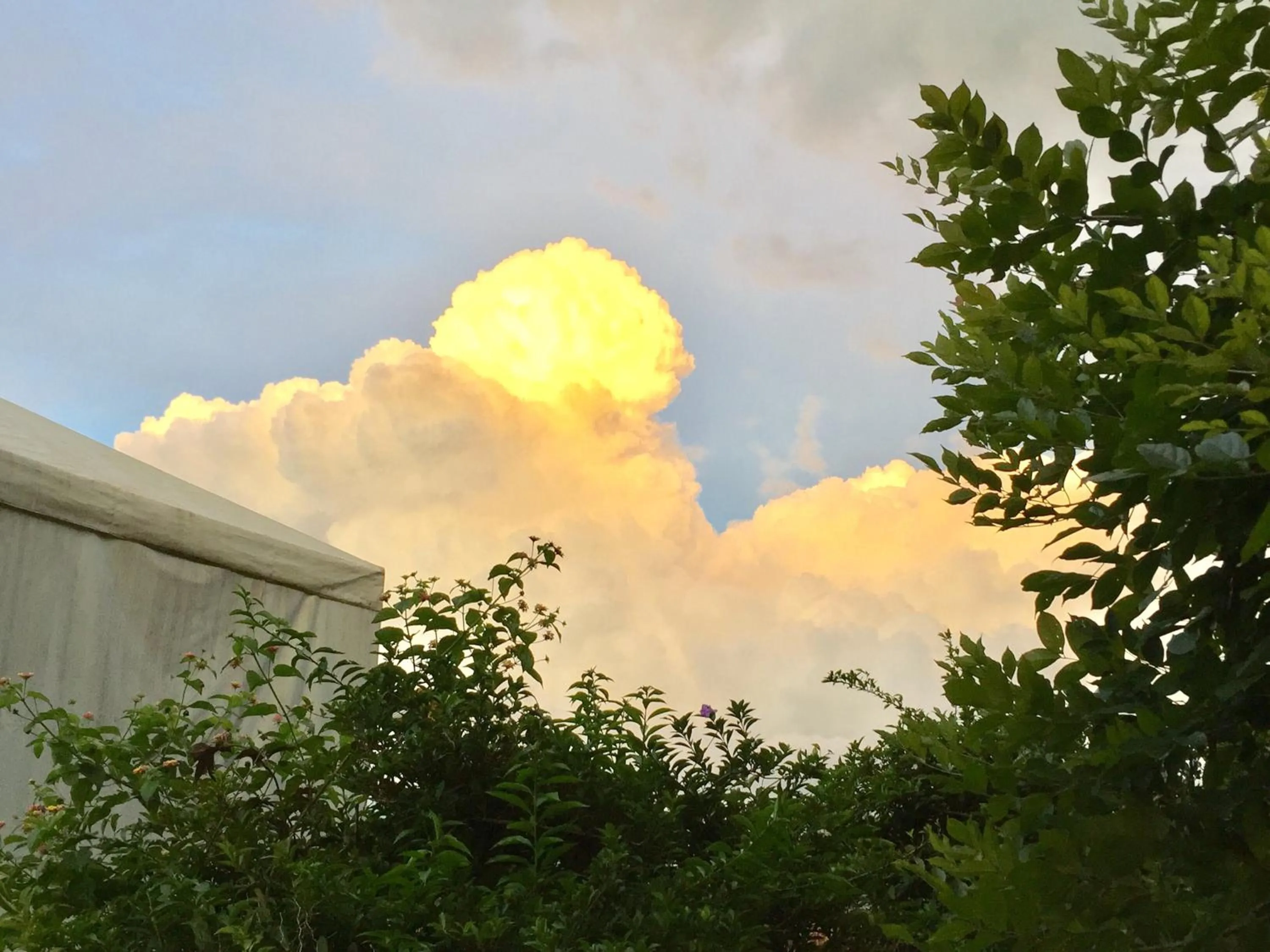 Khaoyai Nature Retreat