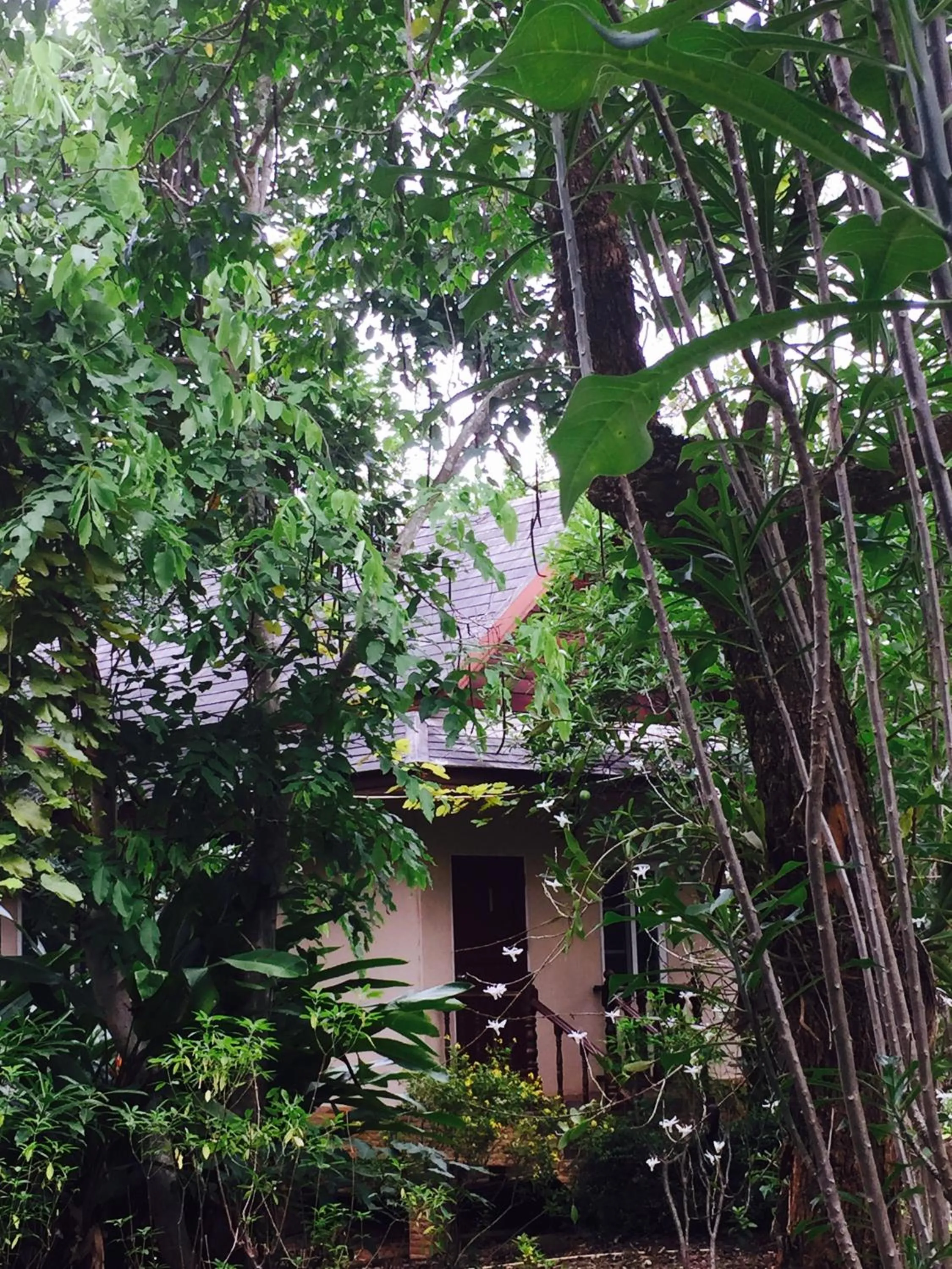 Khaoyai Nature Retreat