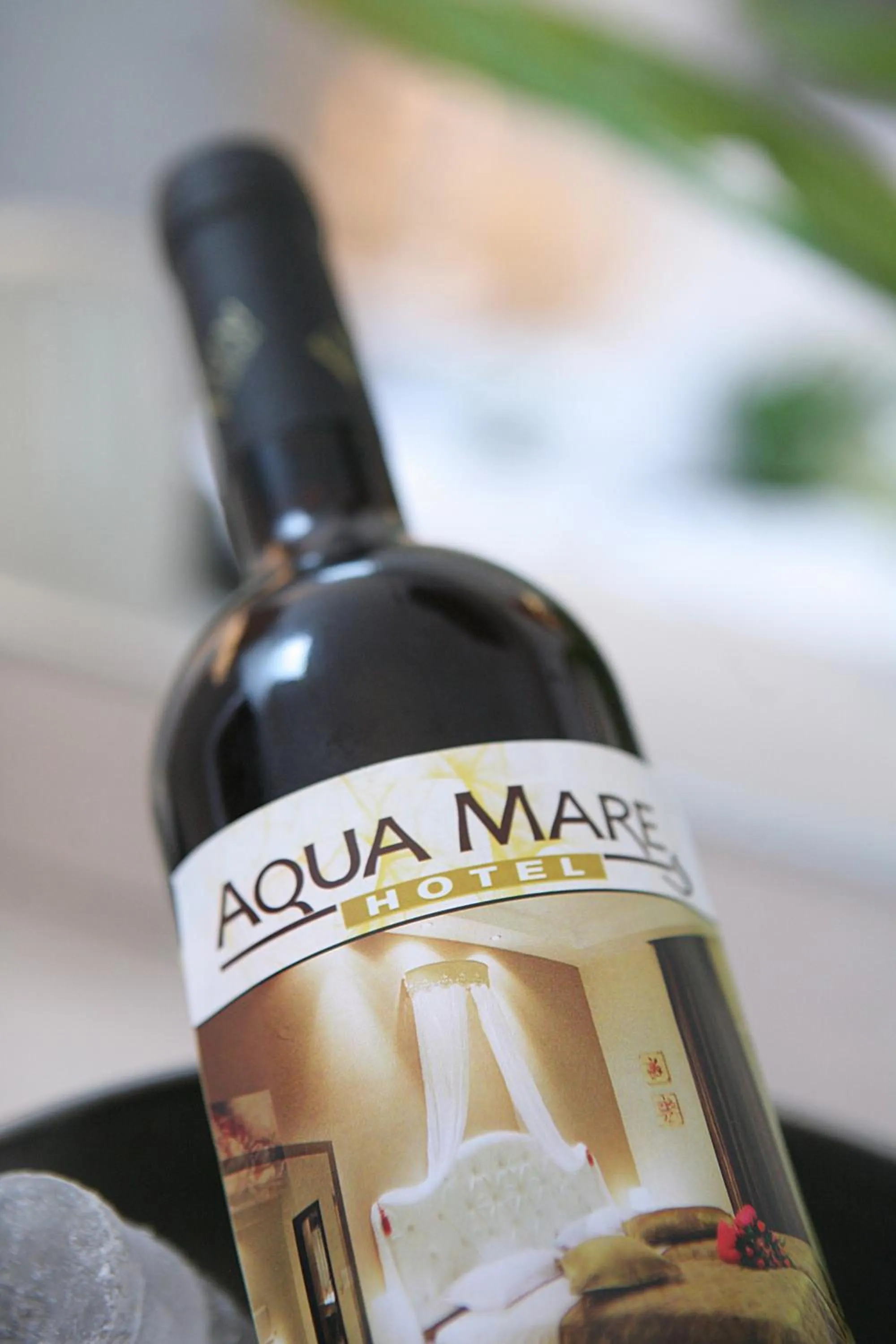 Alcoholic drinks in Aqua Mare Hotel