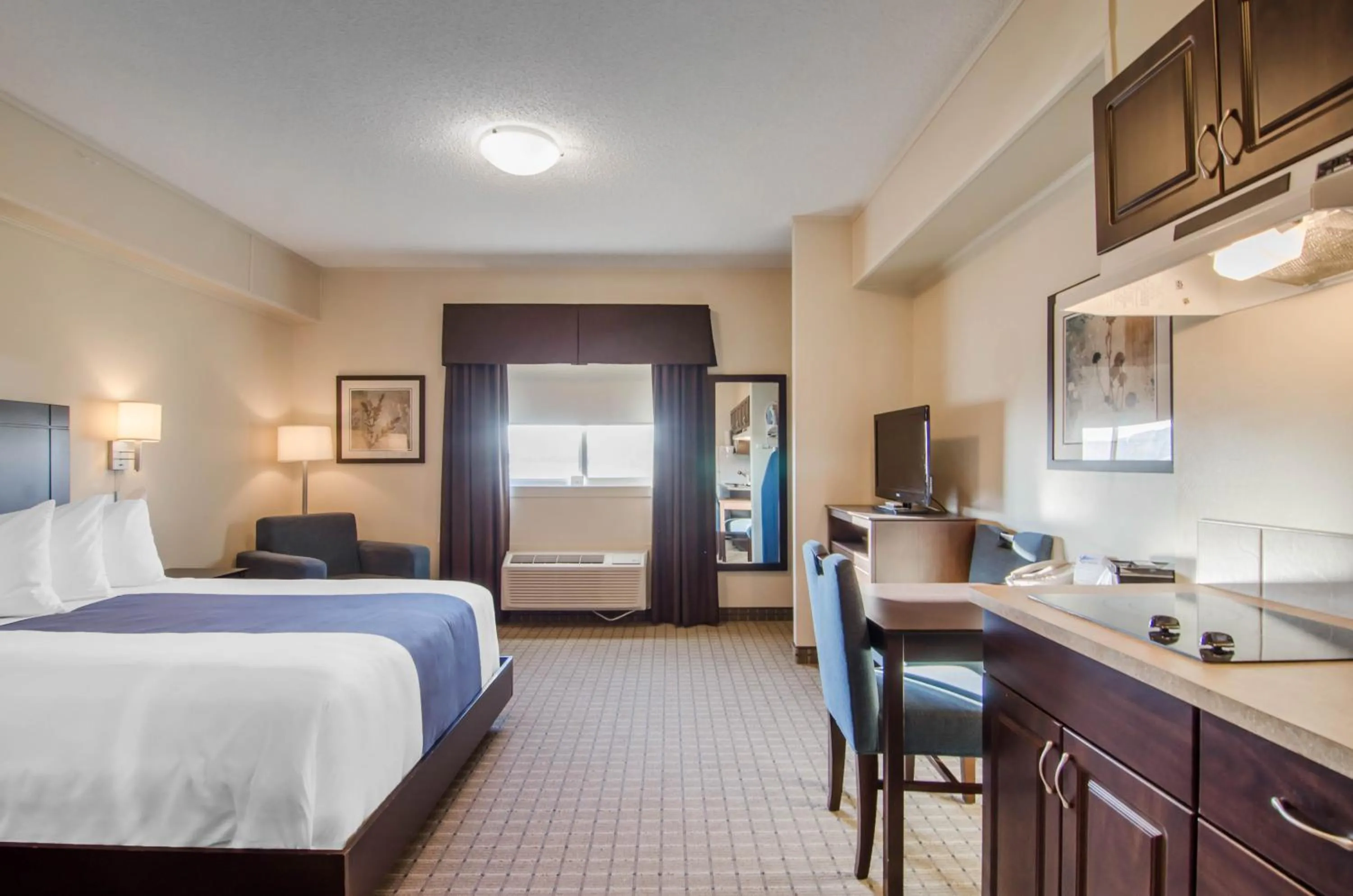 Day, Room Photo in Quality Inn and Suites