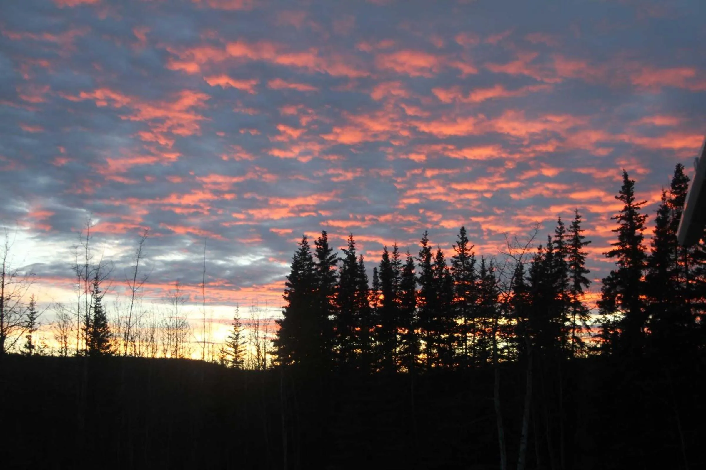 Uncle Nicolai's Inn B&B