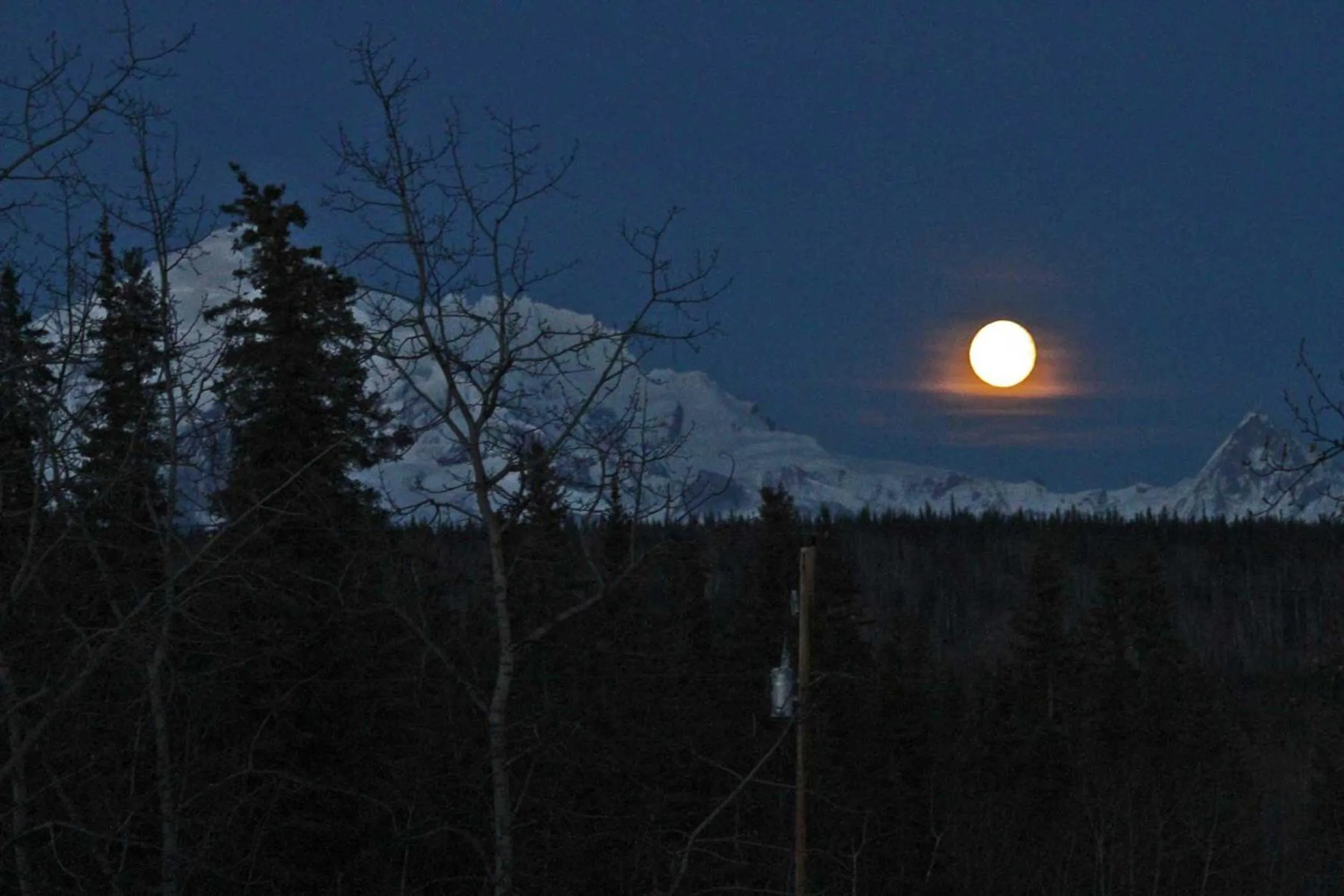 Uncle Nicolai's Inn B&B