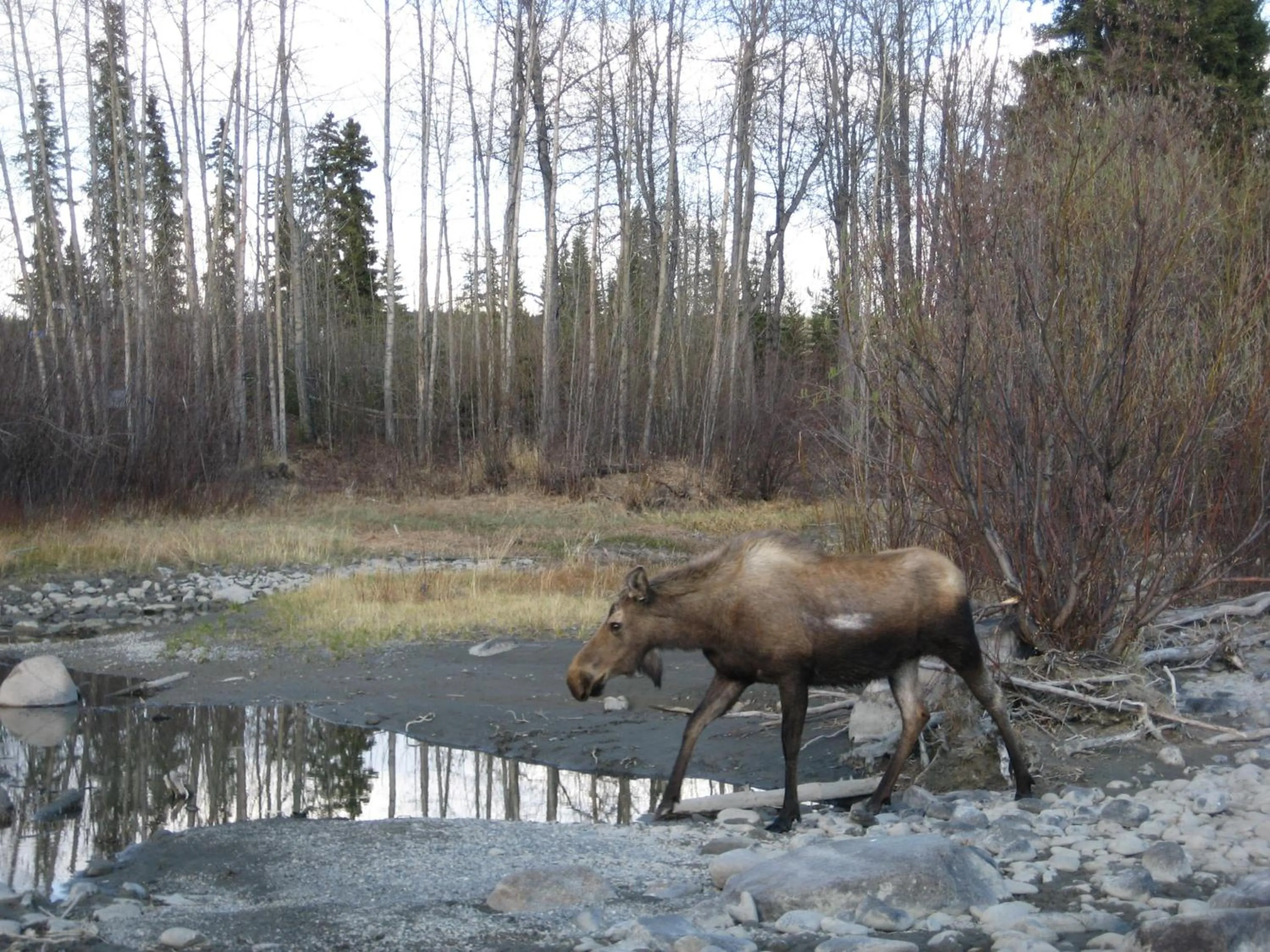 View (from property/room) in Uncle Nicolai's Inn B&B