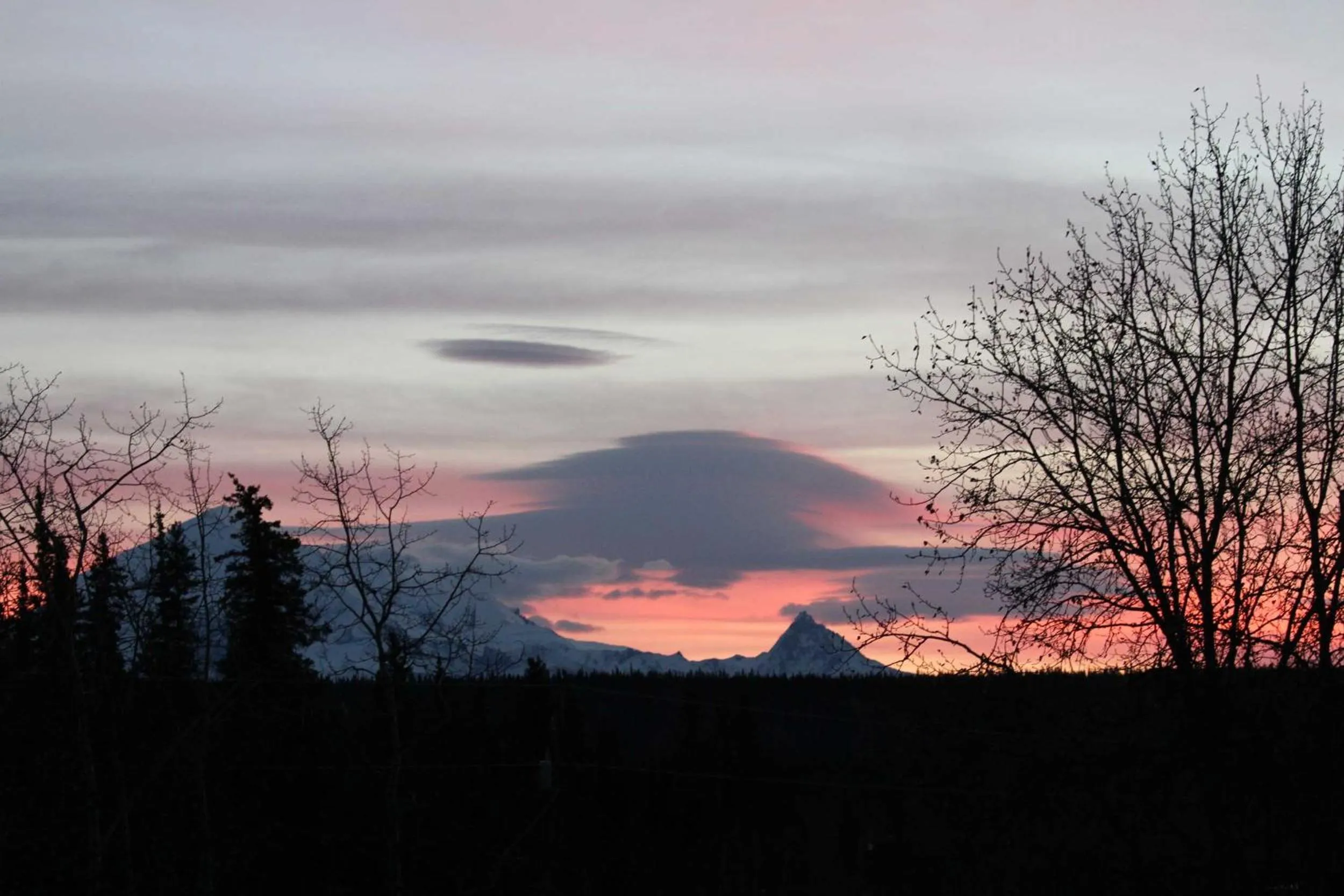 Uncle Nicolai's Inn B&B