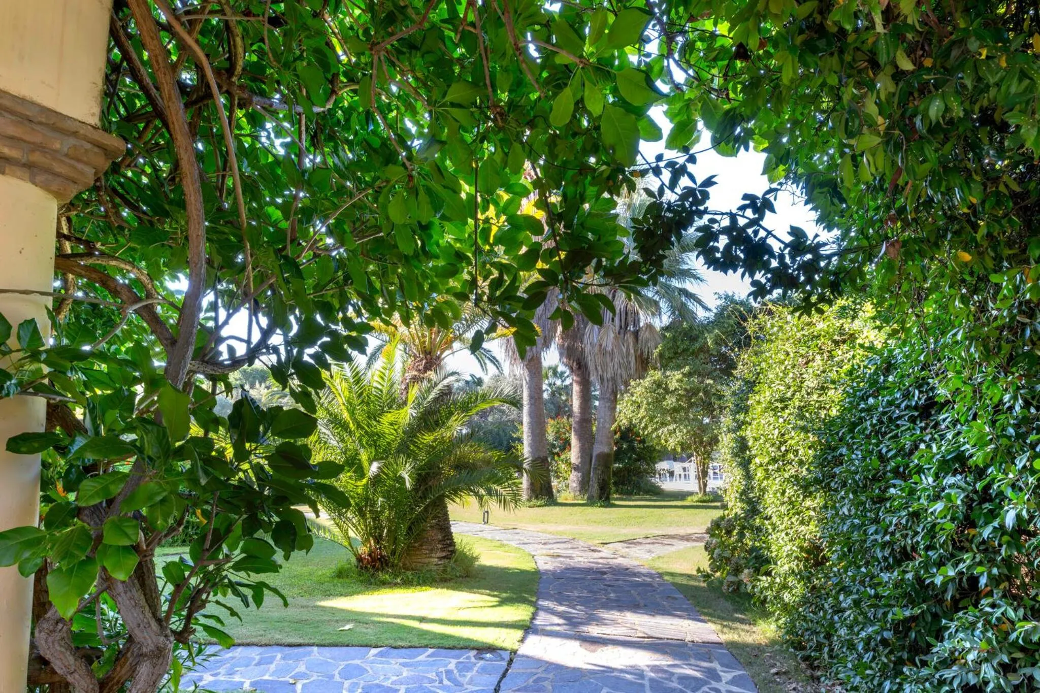 Garden view in Hotel Costa dei Fiori