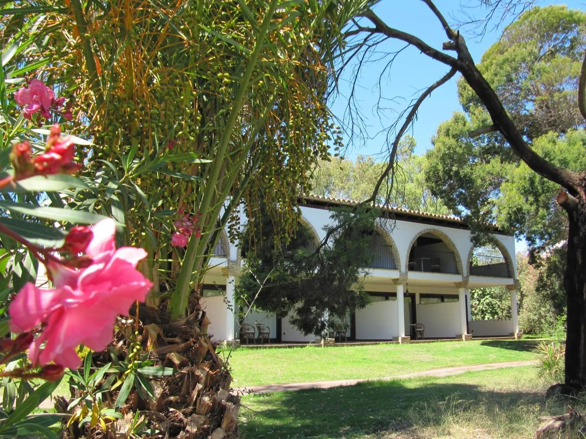 Facade/entrance in Hotel Costa dei Fiori