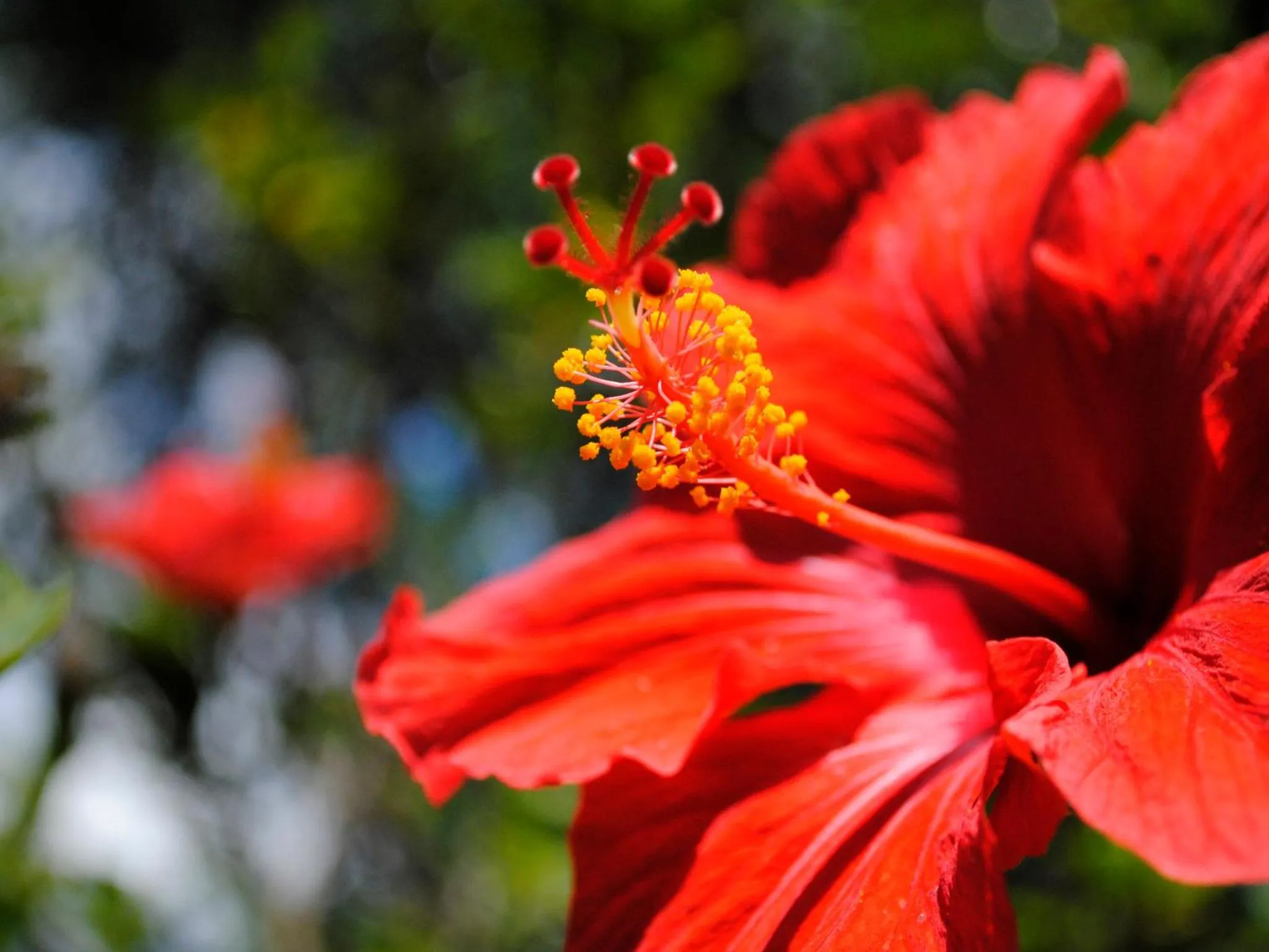 Other in Hotel Costa dei Fiori