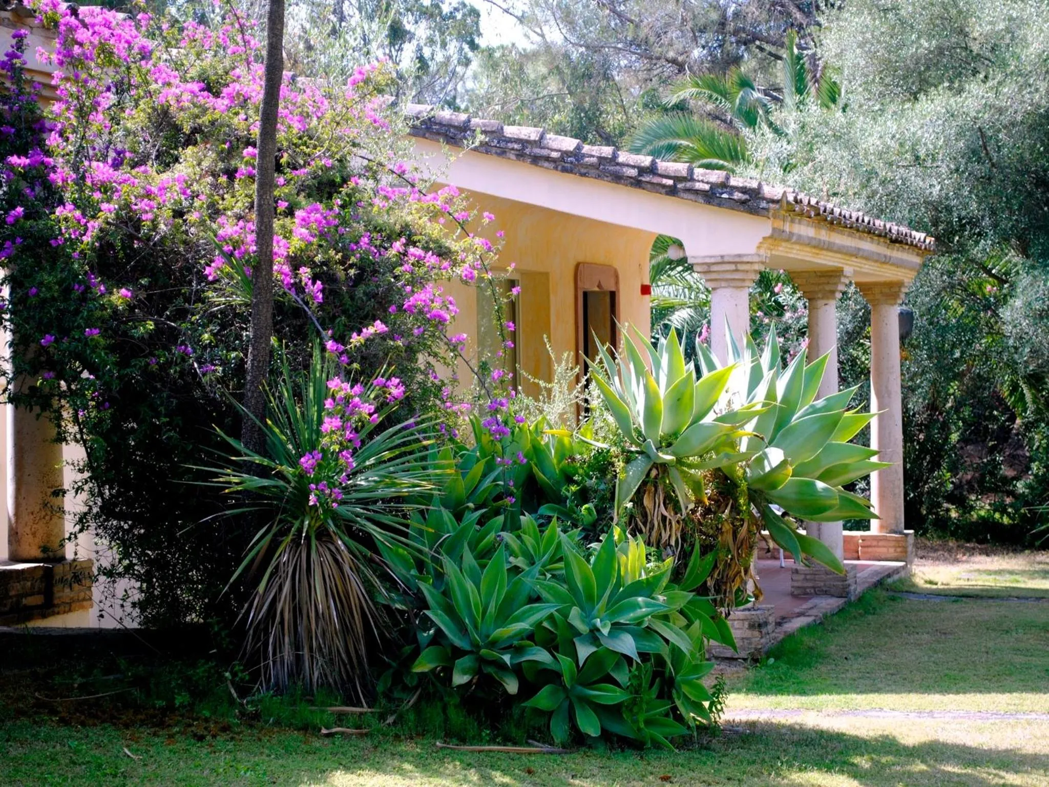 Facade/entrance in Hotel Costa dei Fiori