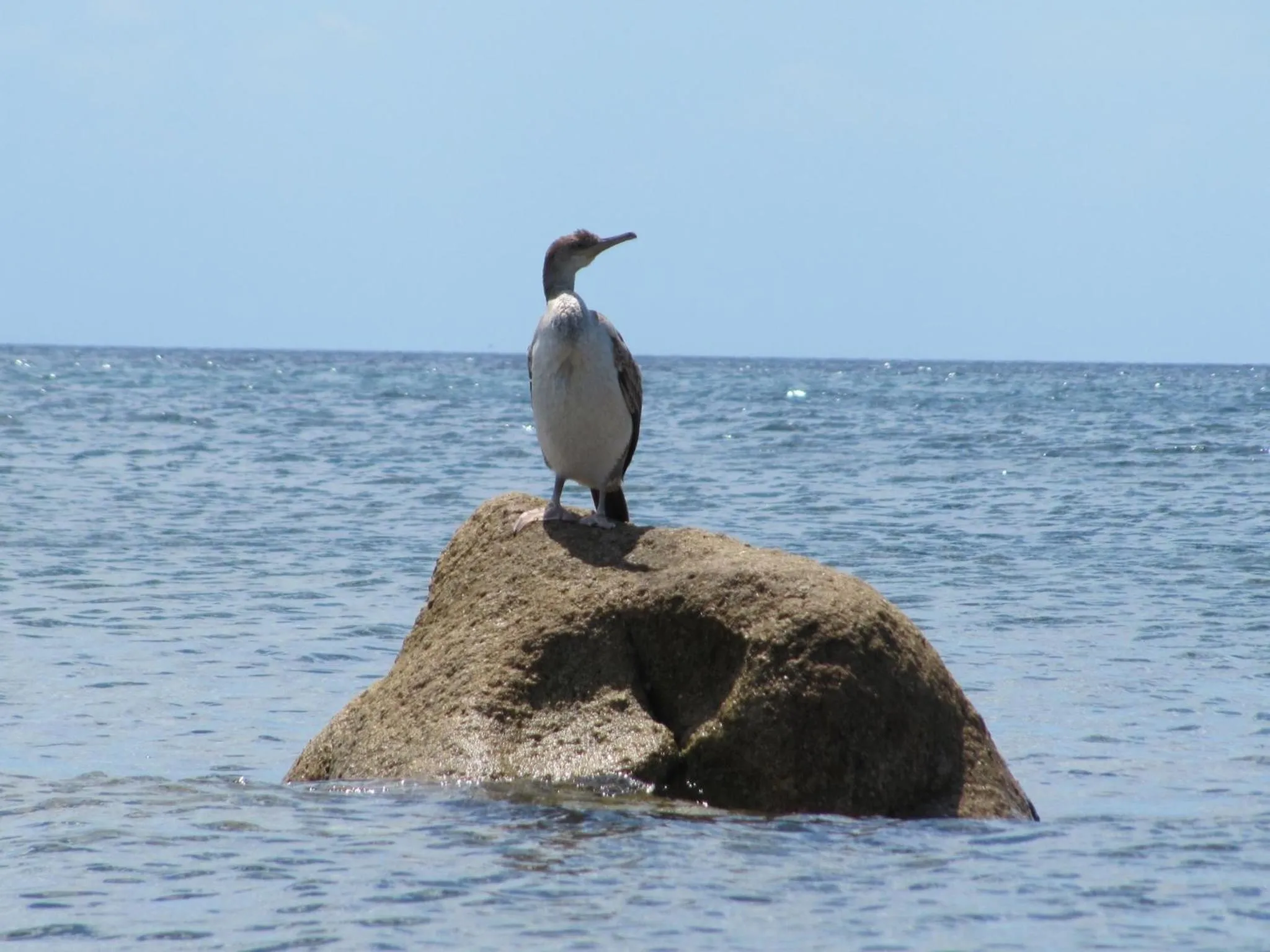 Other in Hotel Costa dei Fiori