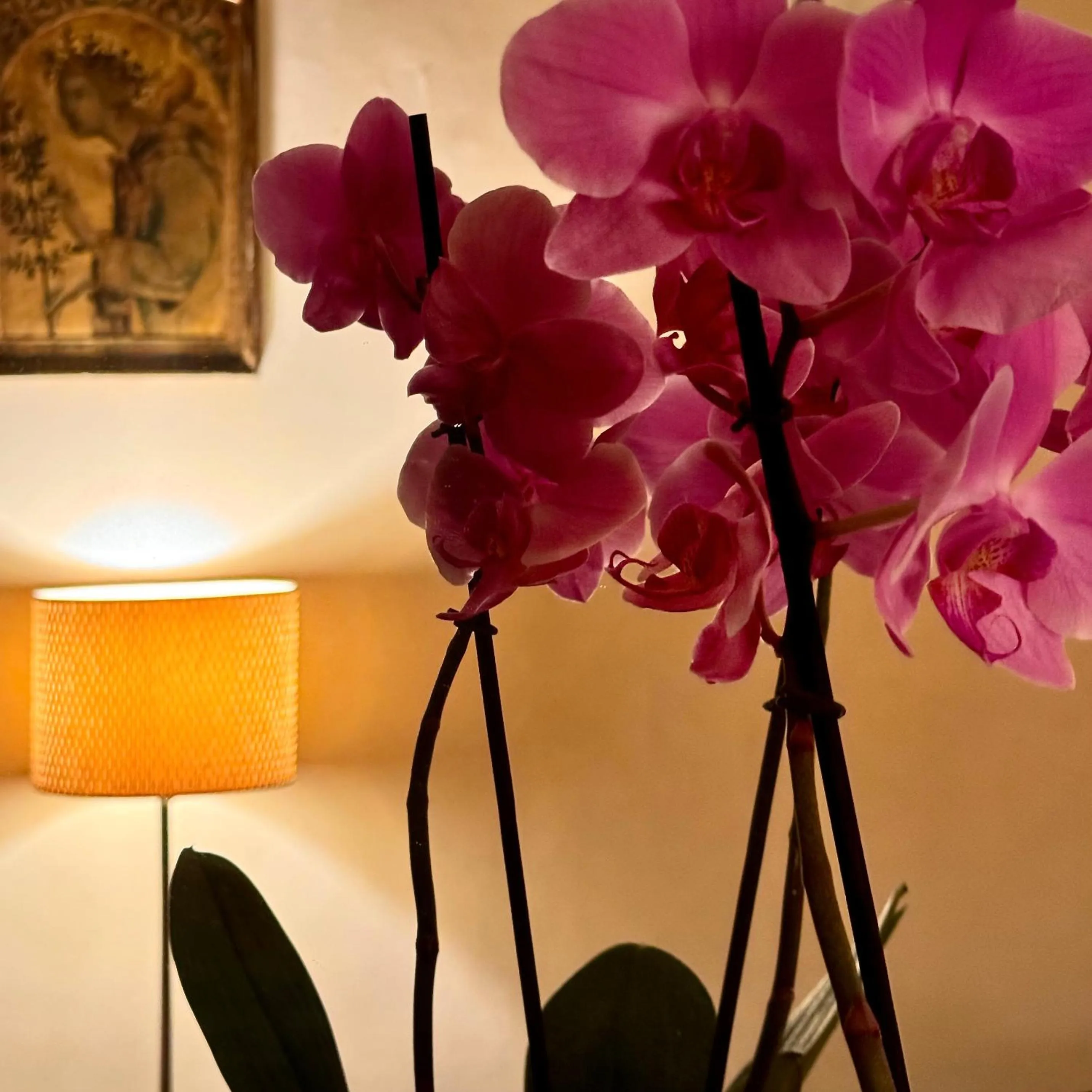 Decorative detail in Hotel Cestelli