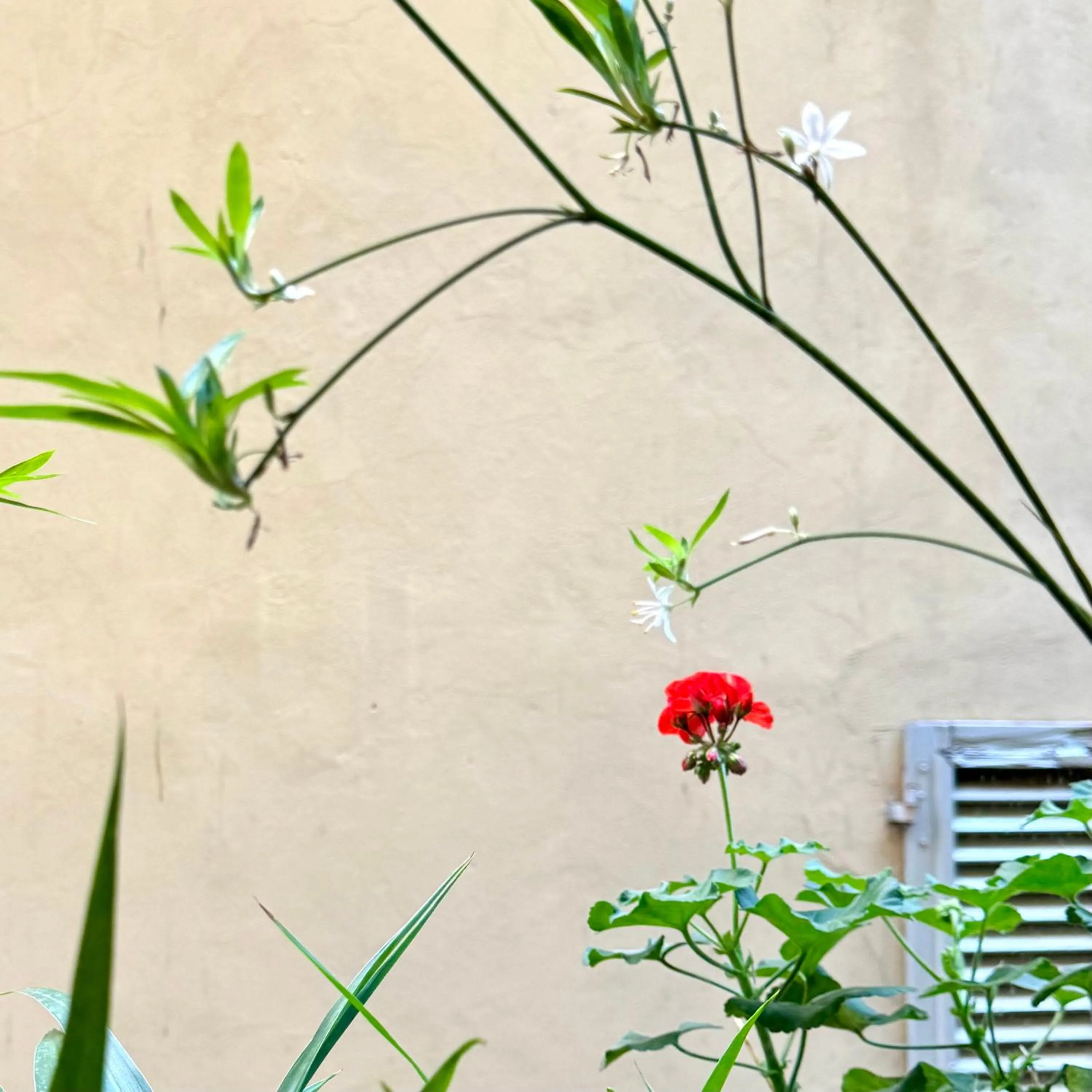 Decorative detail in Hotel Cestelli