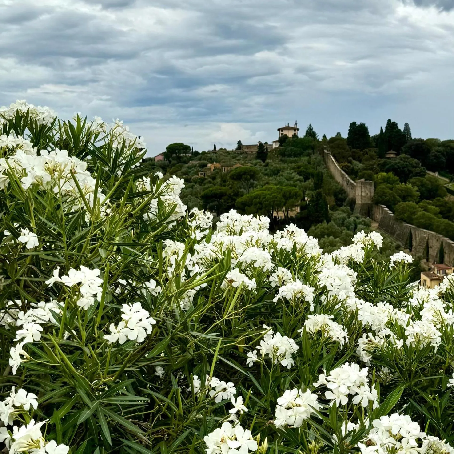 Nearby landmark in Hotel Cestelli