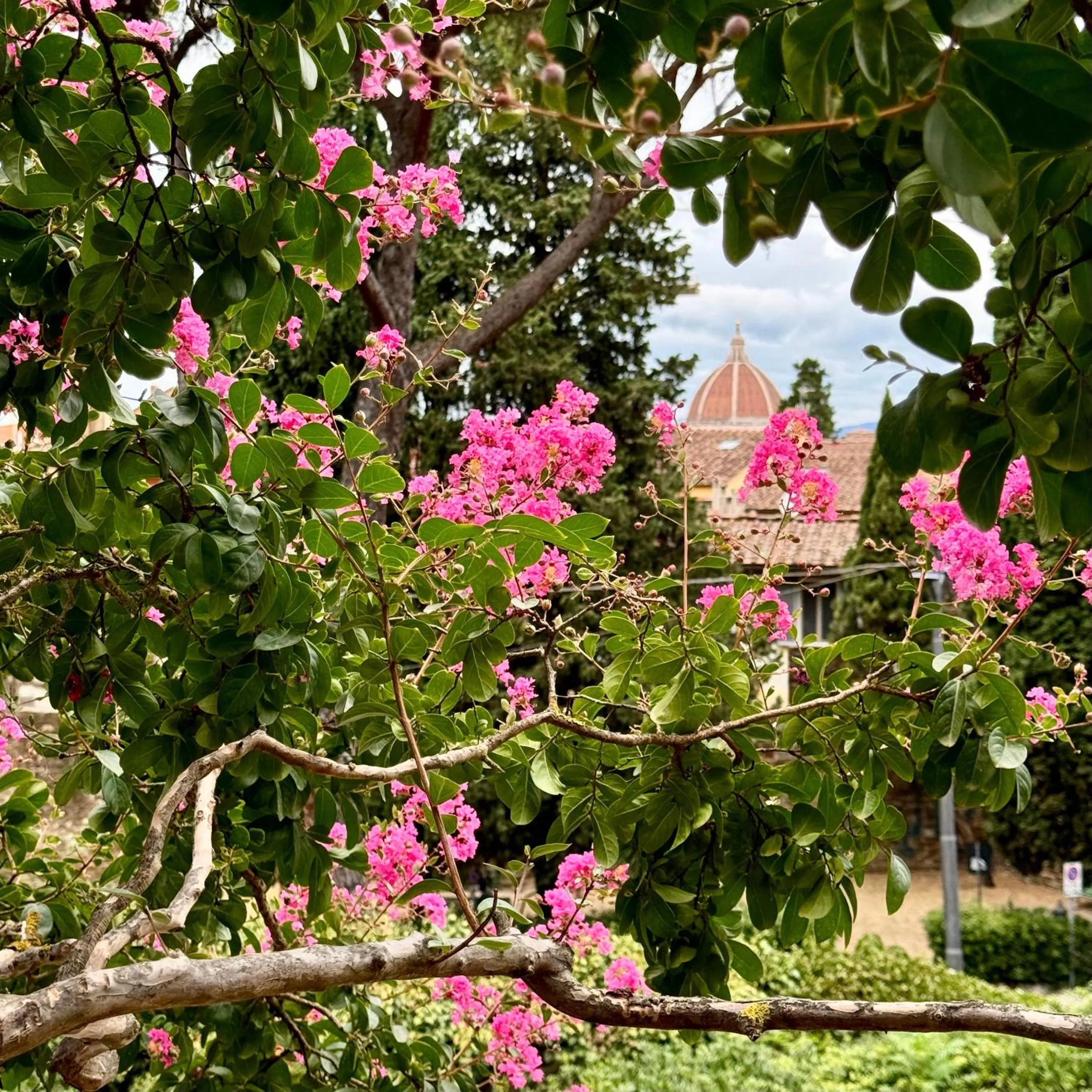 Nearby landmark in Hotel Cestelli