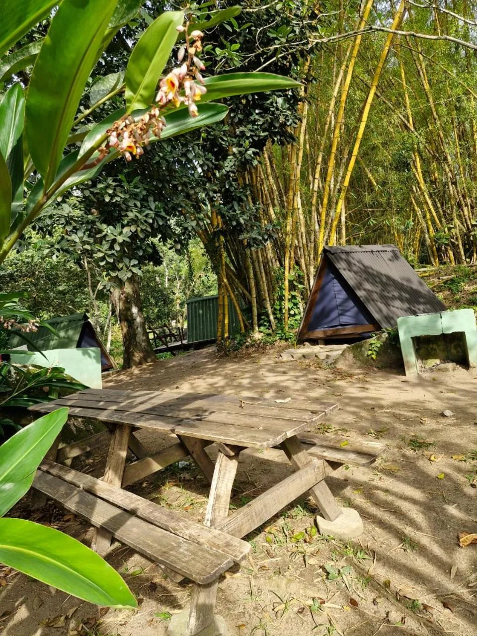 Camping & Cabanas Ilhabela