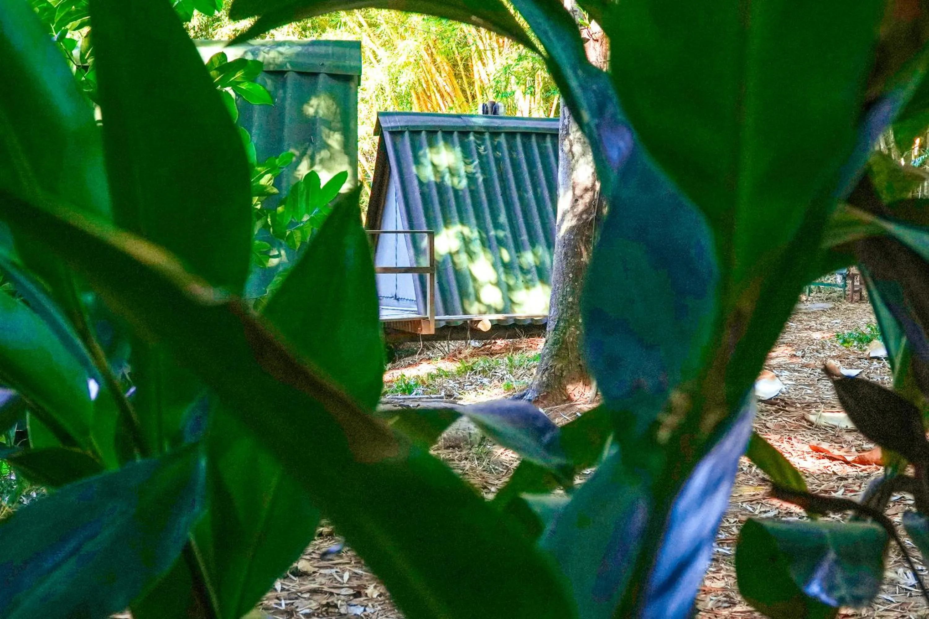 Day in Camping & Cabanas Ilhabela