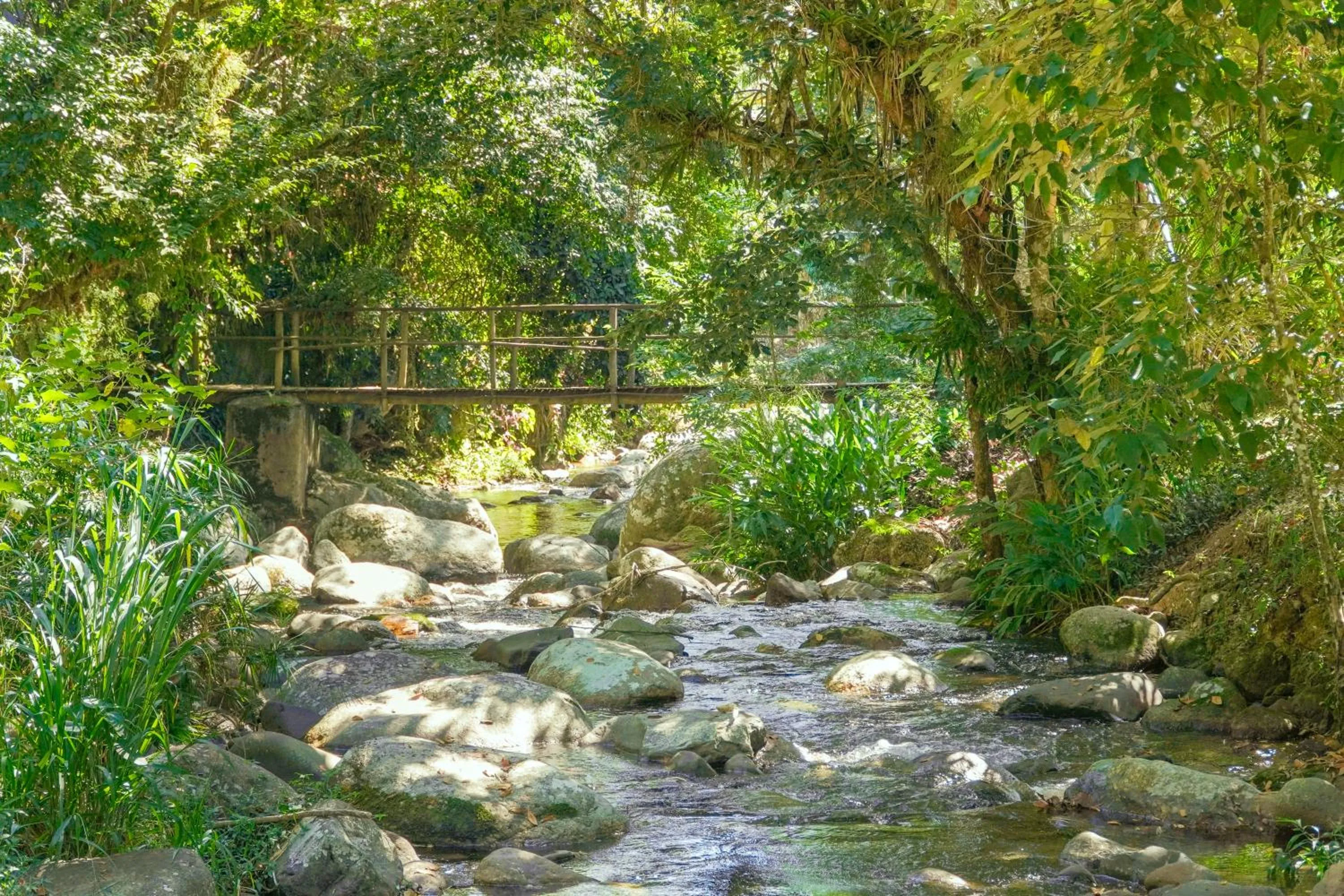 Natural landscape in Camping & Cabanas Ilhabela