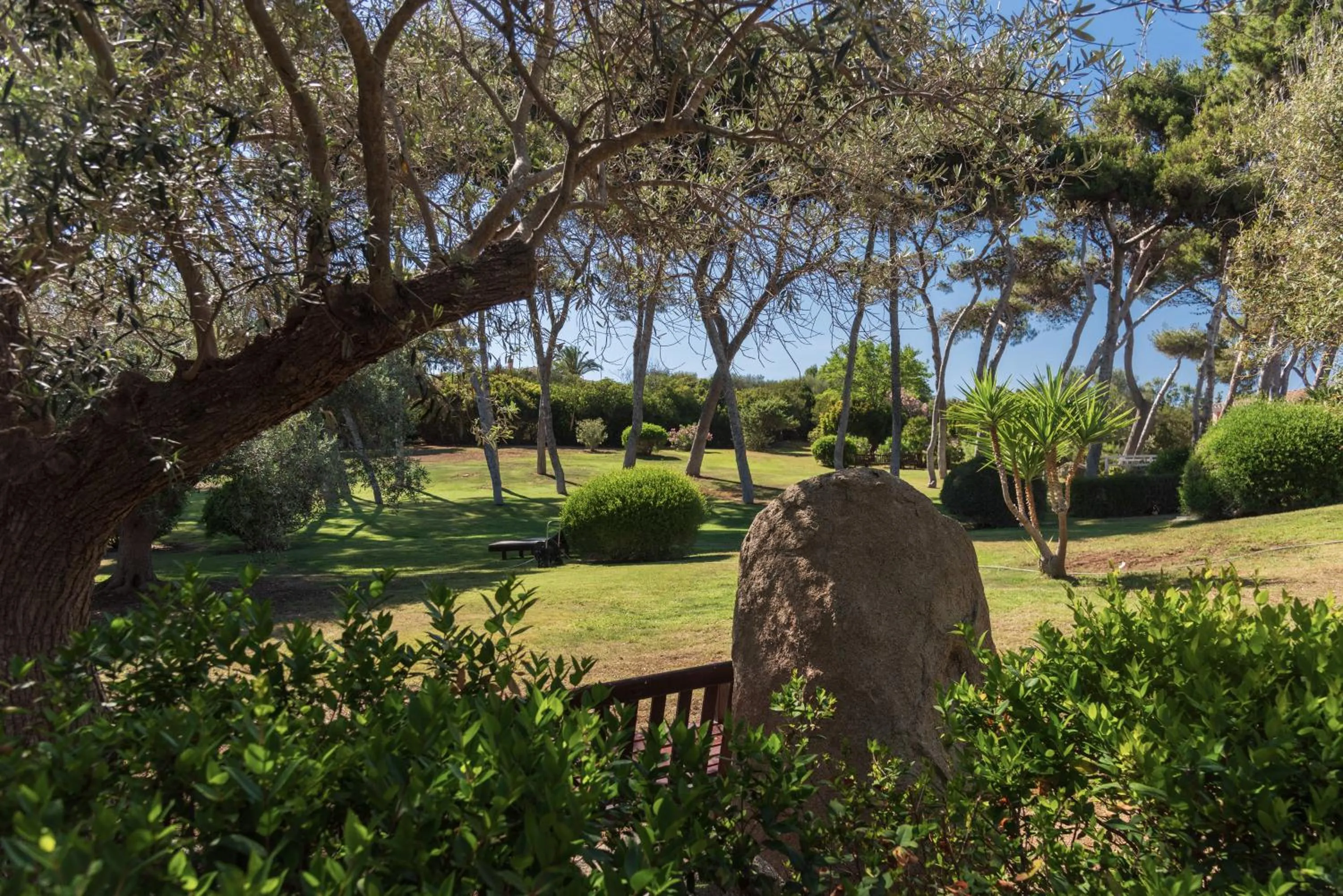 Garden in Hotel Cala Caterina