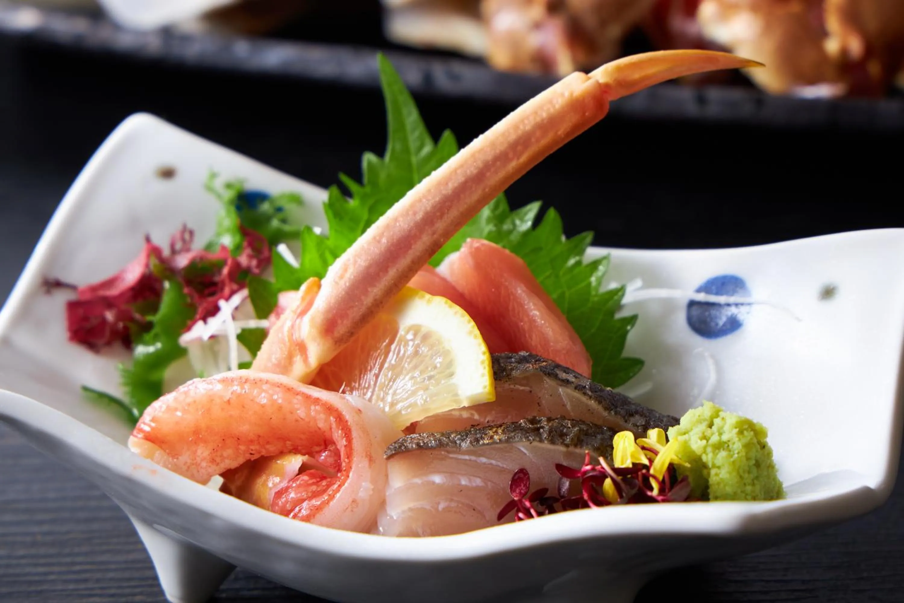 Reyzenit Kinosaki Suite VILLA