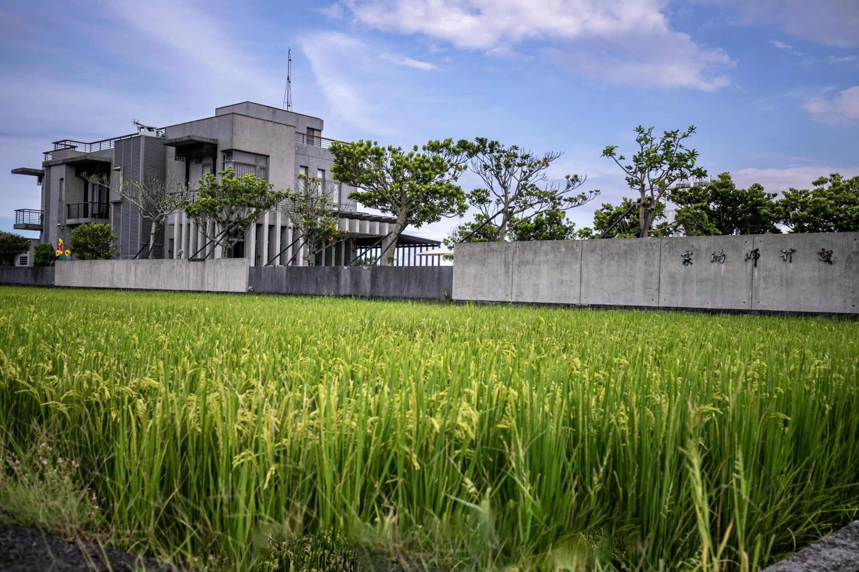 Property building in The Designer's House