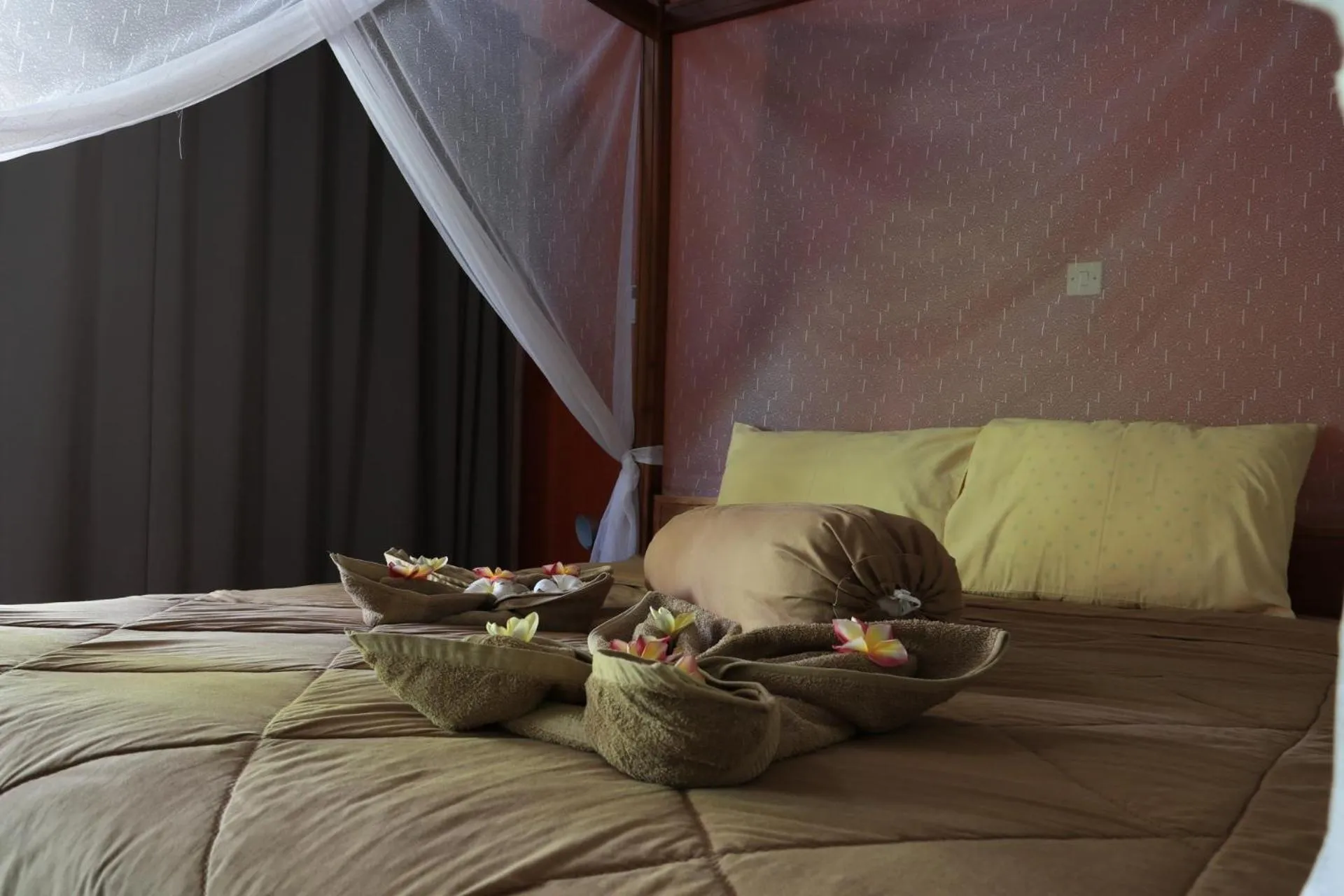 Bed in Albany Home Stay