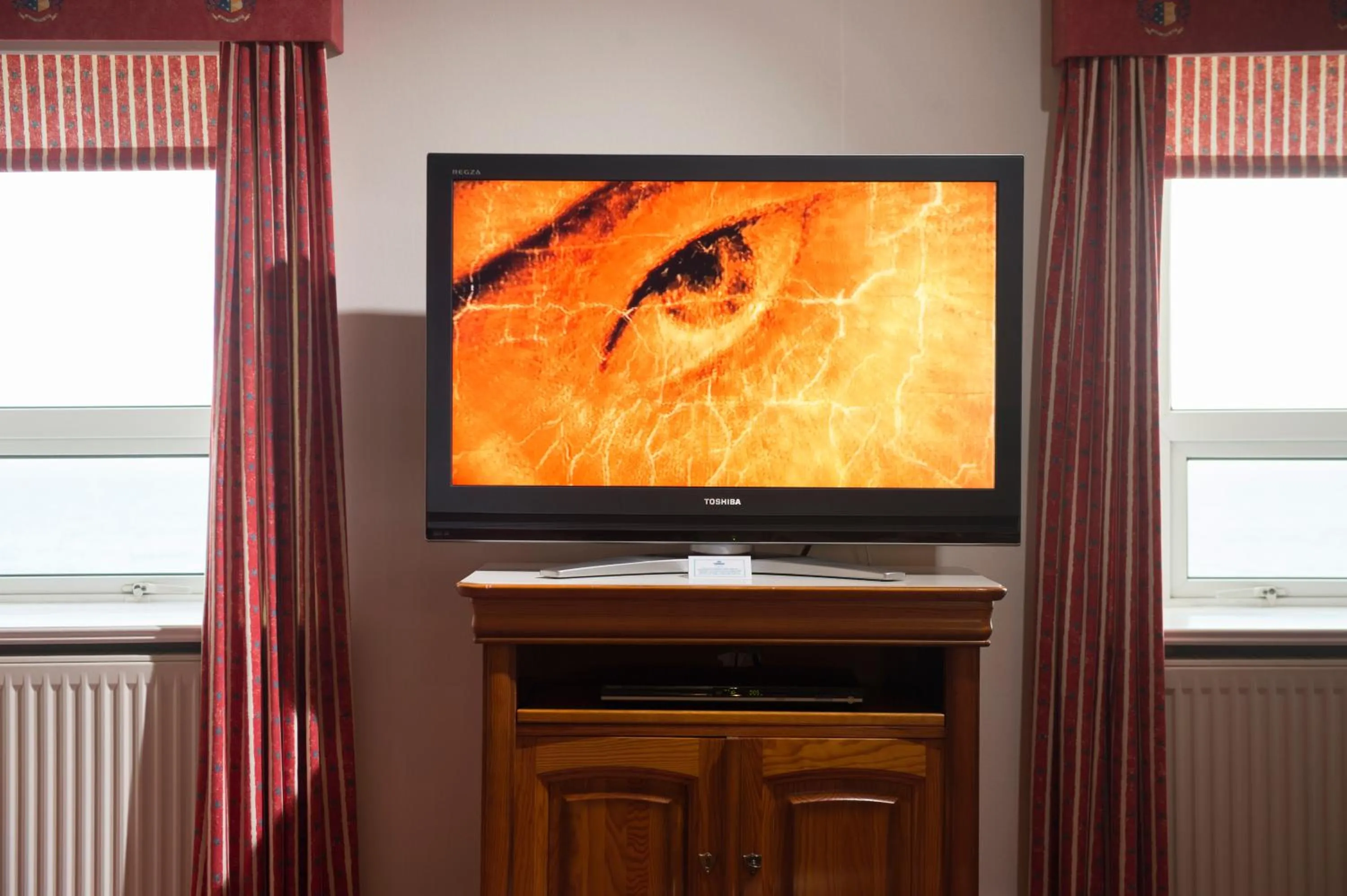 TV and multimedia in Regency Hotel