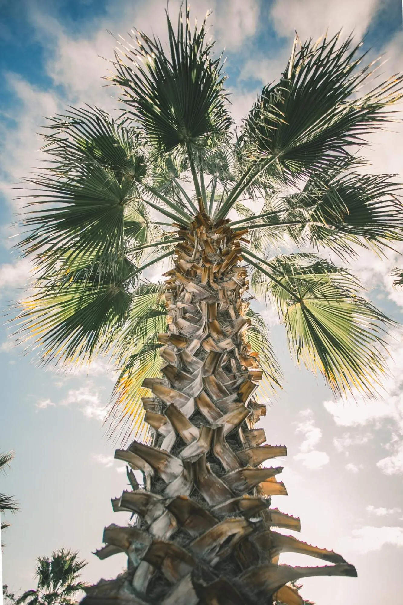 On site in Bella Manga Country Escape